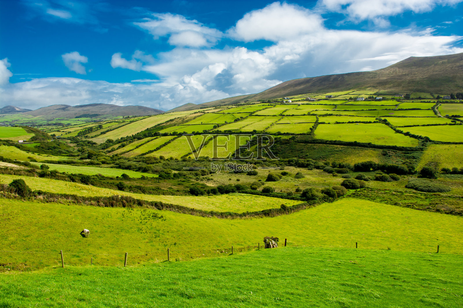 爱尔兰有牧场的乡村景观照片摄影图片