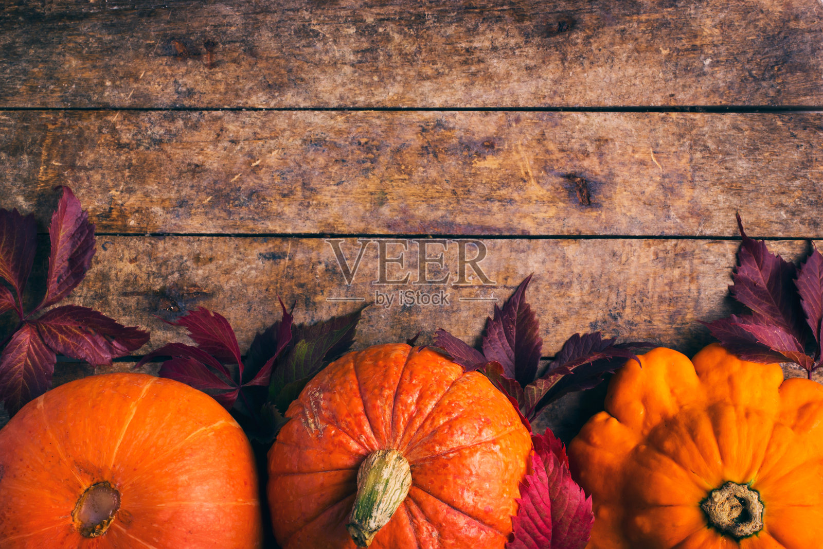 秋天的食物背景是南瓜和彩色的叶子照片摄影图片