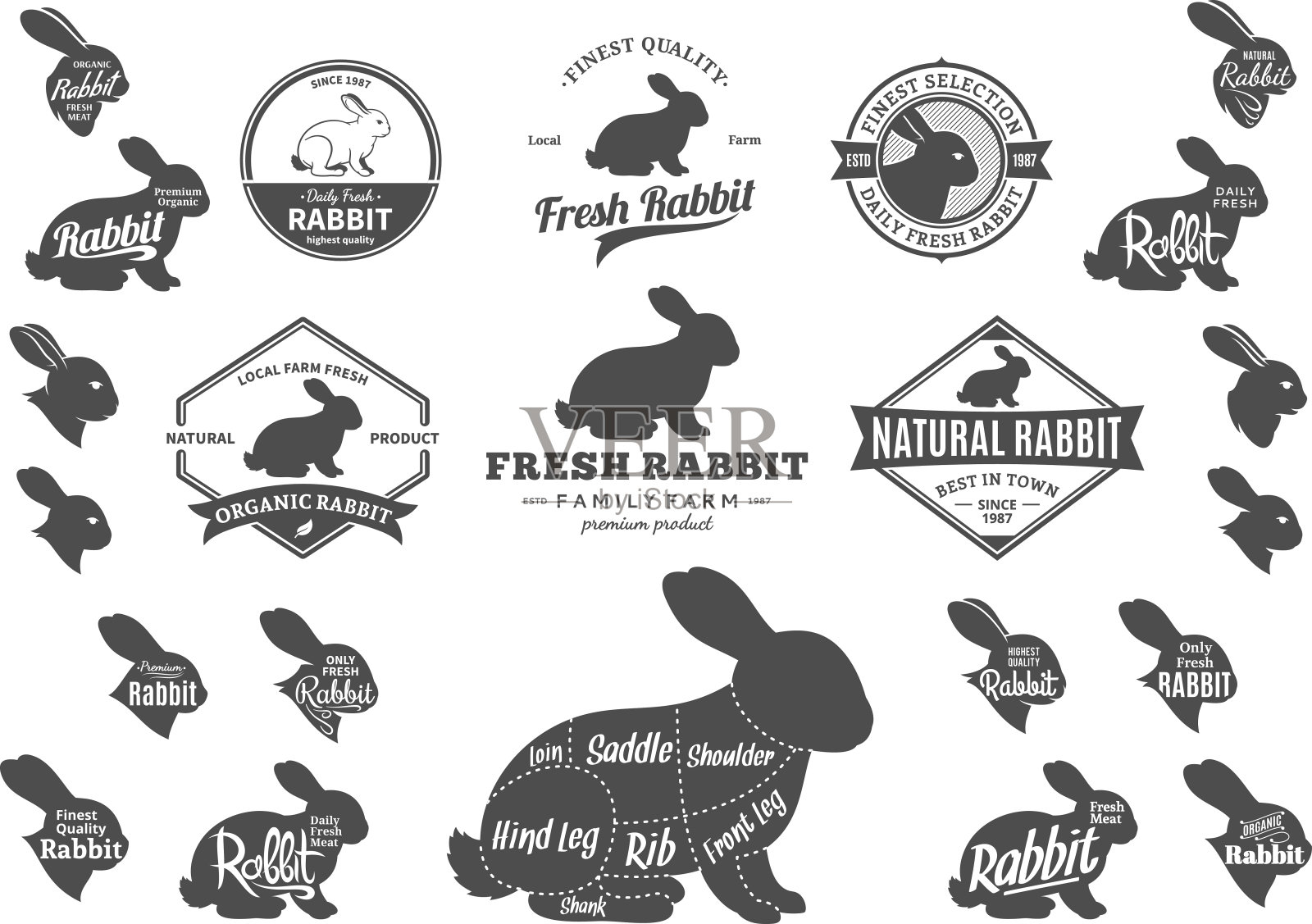 矢量兔子标签，图标，图表和设计元素插画图片素材