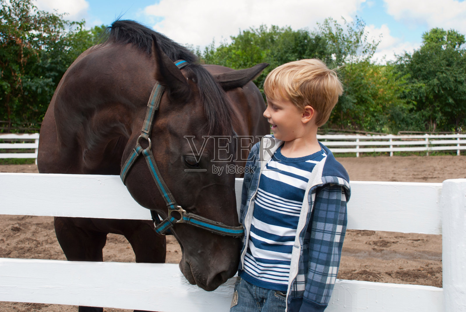 骑着棕色马的男孩照片摄影图片