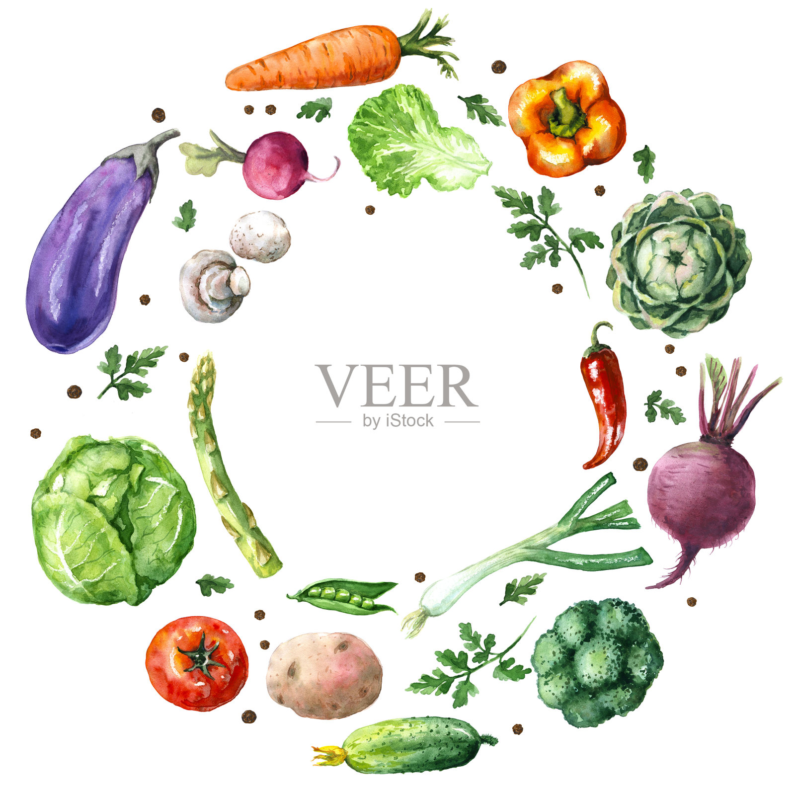 各种蔬菜圆框插画图片素材