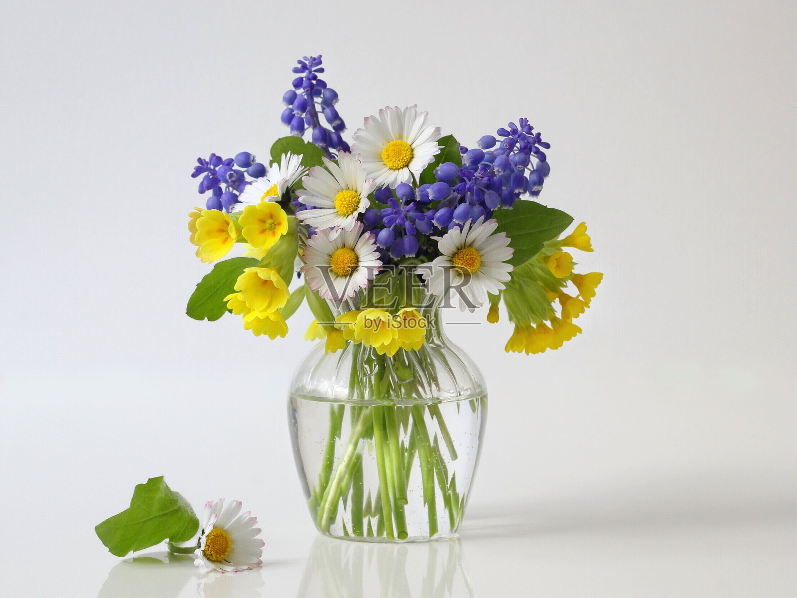 花瓶里放一束春天的五彩花朵。花卉静物。照片摄影图片