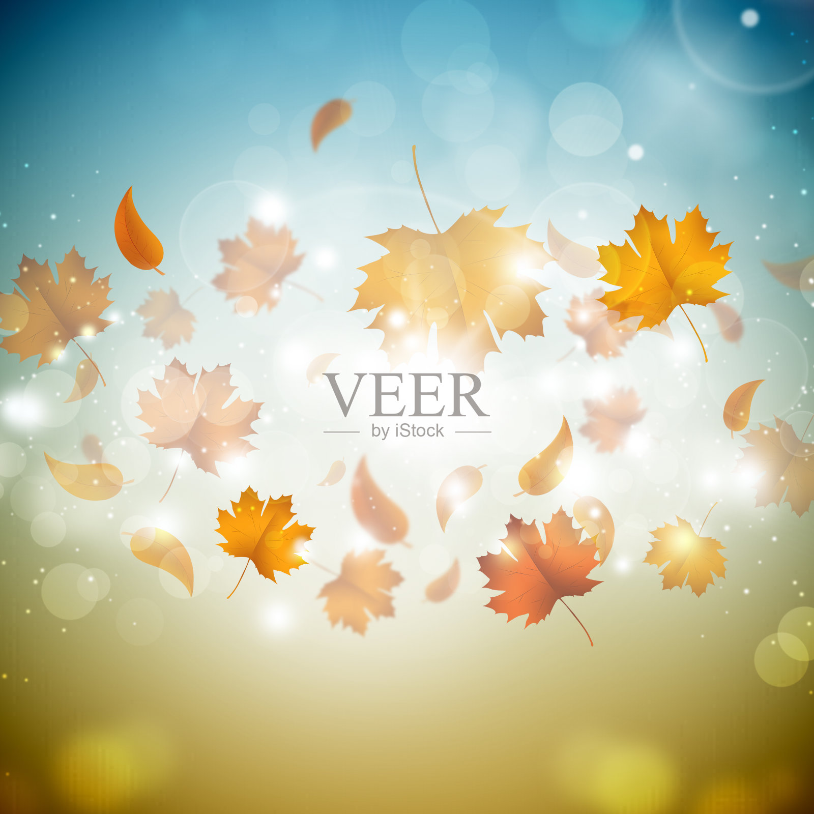 金色的秋天的落叶插画图片素材
