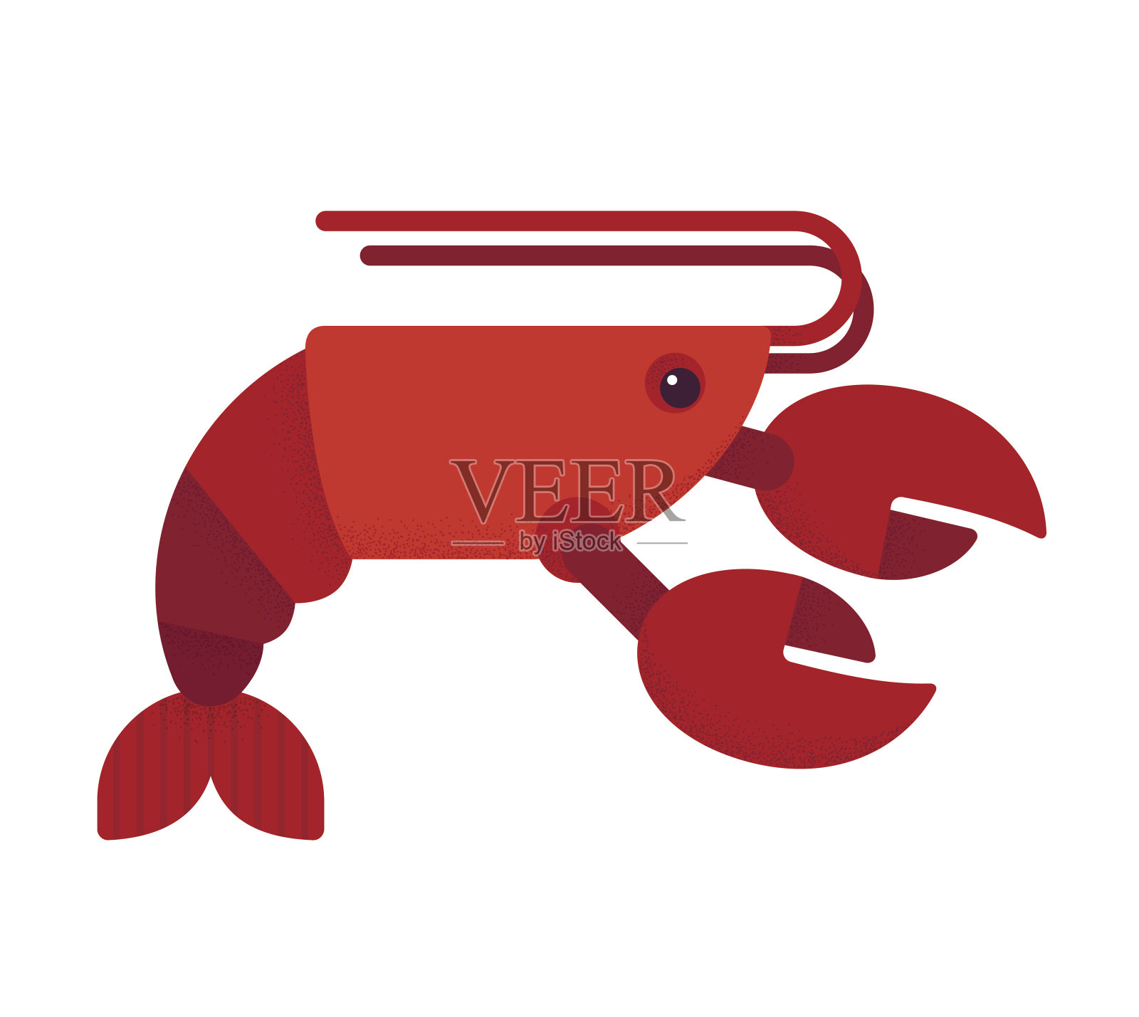 红龙虾插图插画图片素材