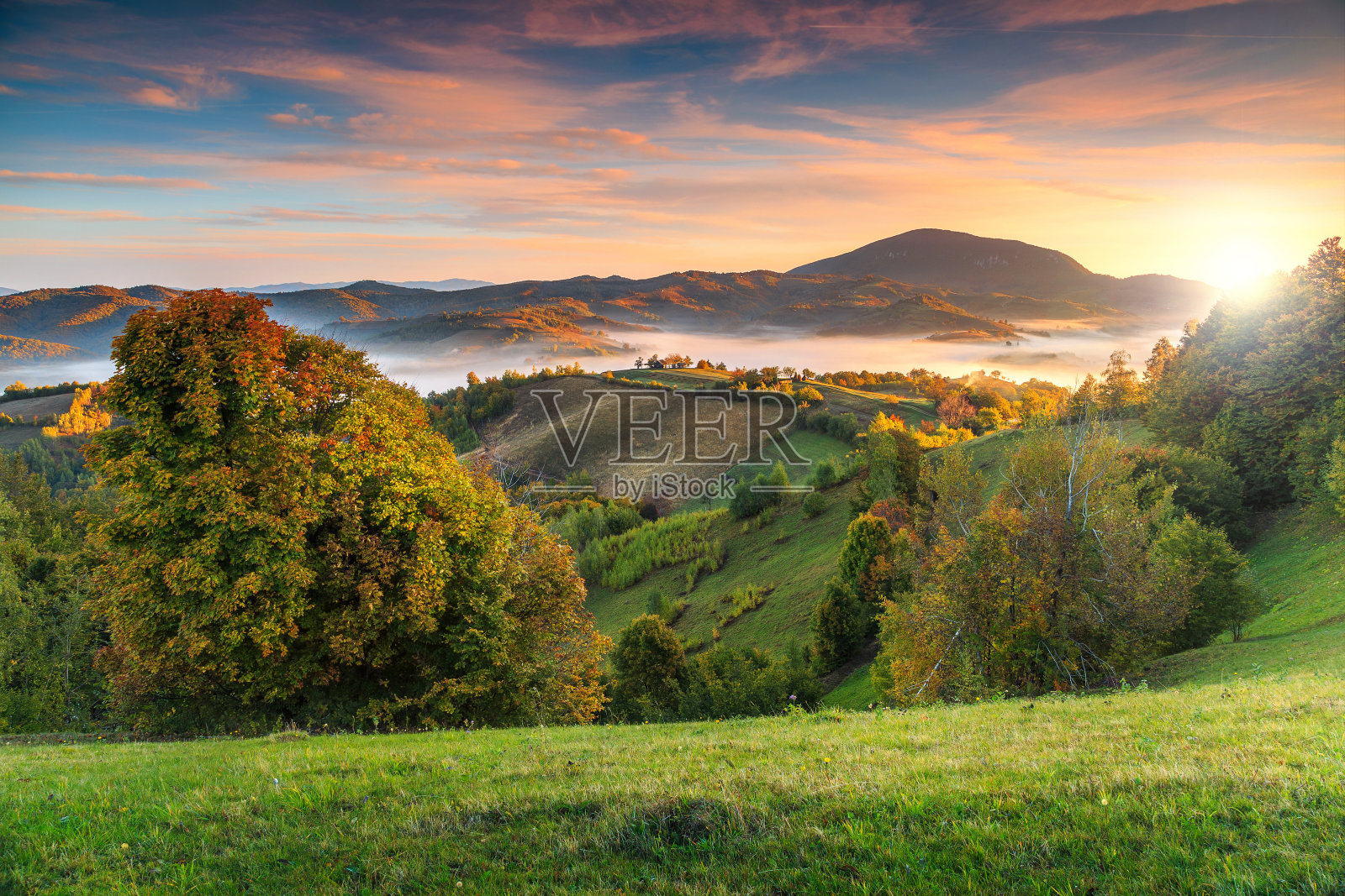 欧洲罗马尼亚特兰西瓦尼亚的霍尔巴夫，雾气蒙蒙的山谷，五彩缤纷的秋景照片摄影图片