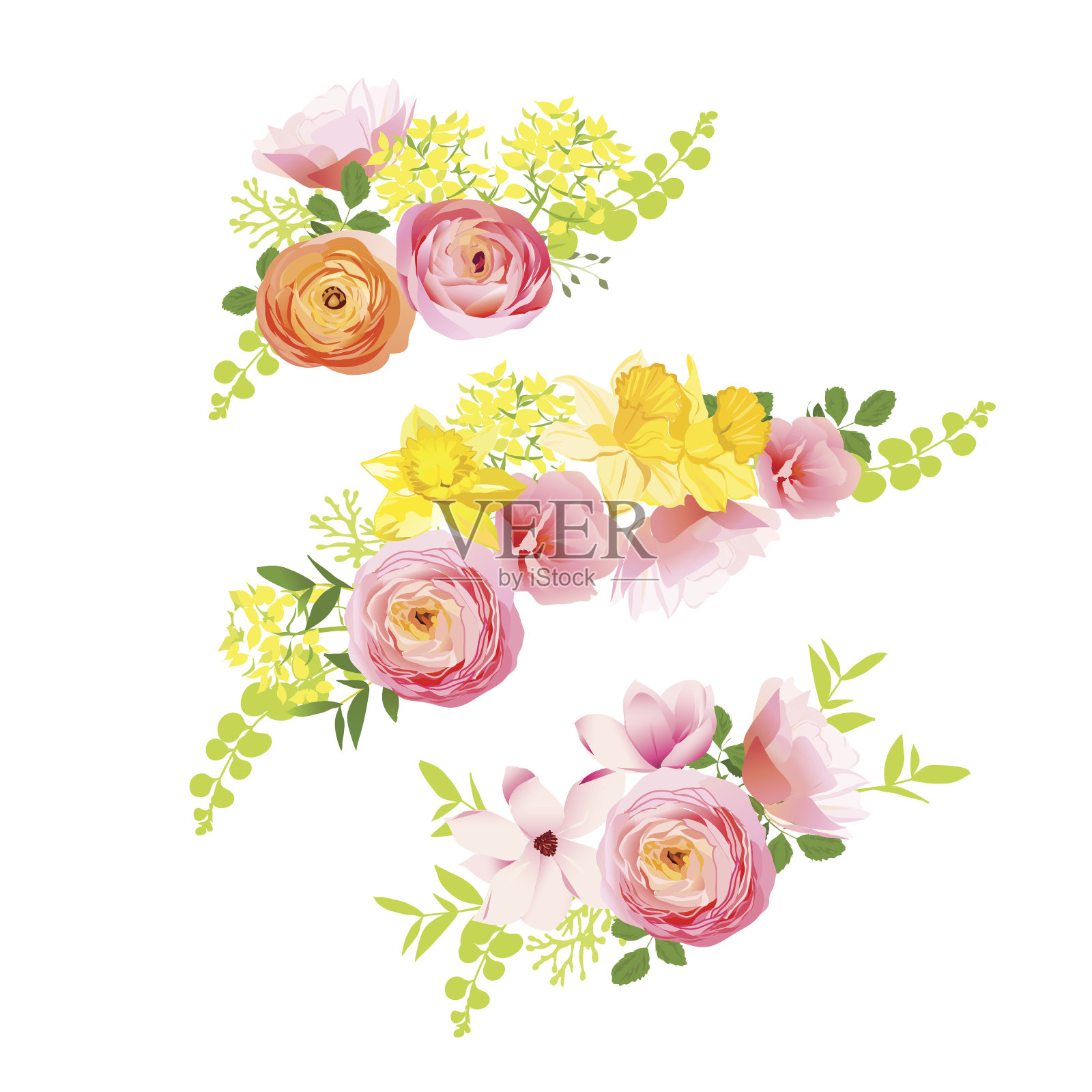 阳光明媚的春天，玫瑰，毛茛，水仙，牡丹花束。设计元素图片