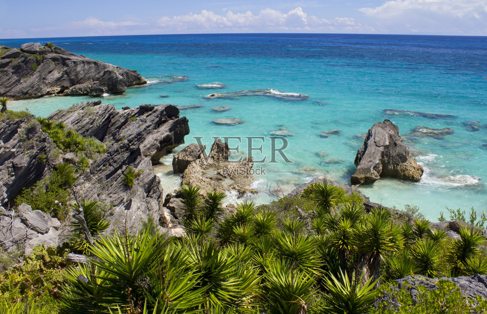 百慕大海岸照片摄影图片