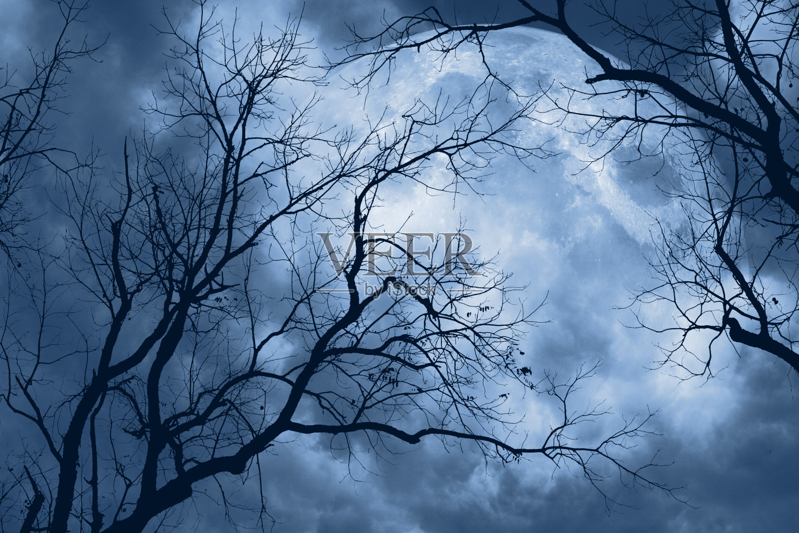 恐怖的满月之夜照片摄影图片
