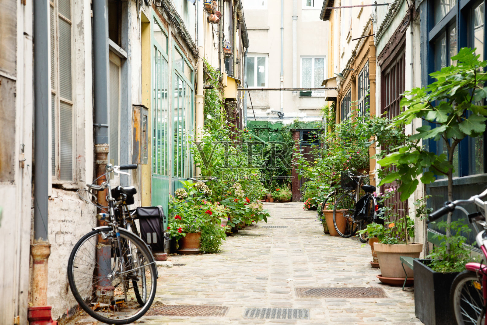 有盆栽和自行车的巴黎小巷照片摄影图片