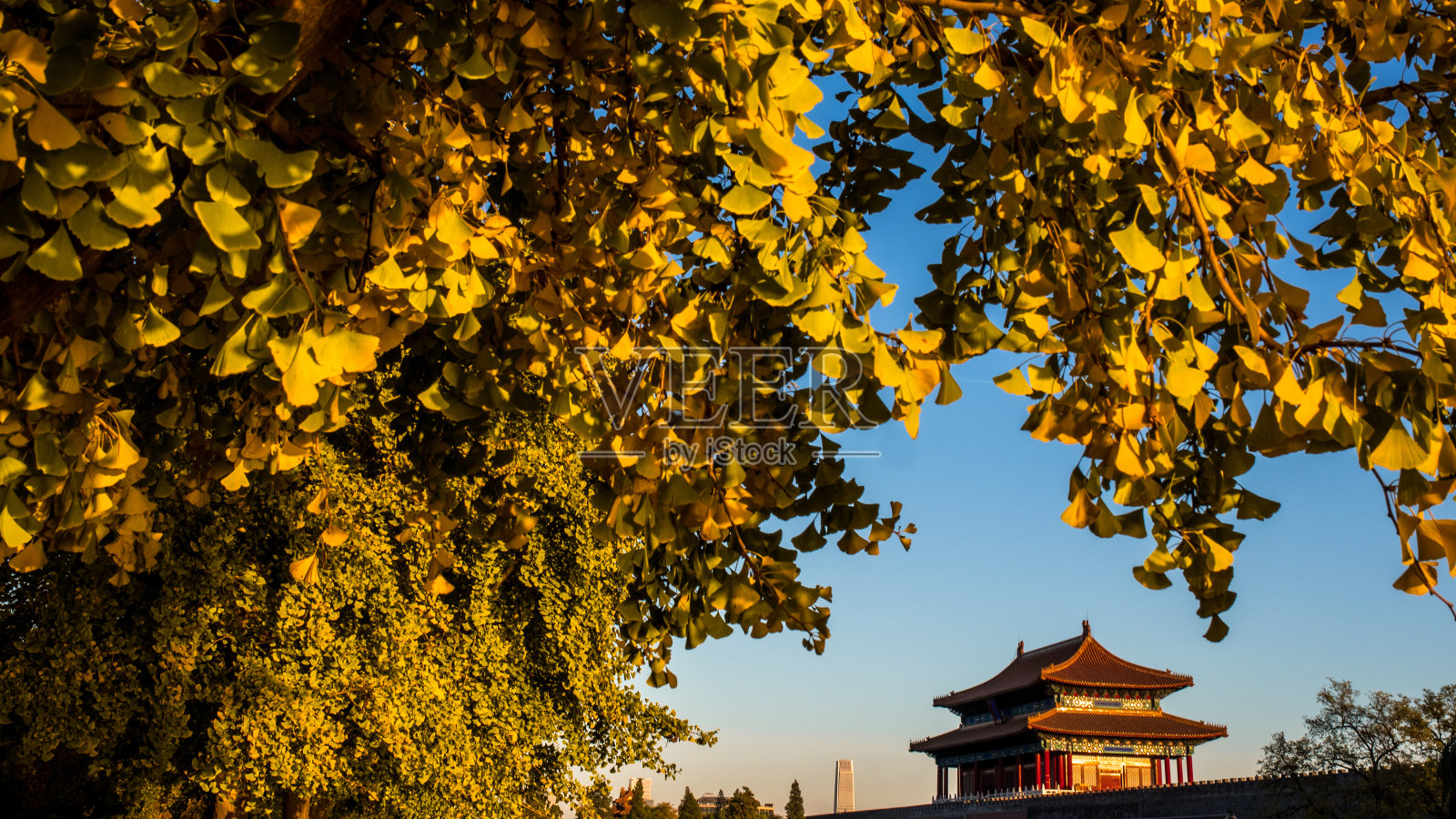 秋天的紫禁城照片摄影图片