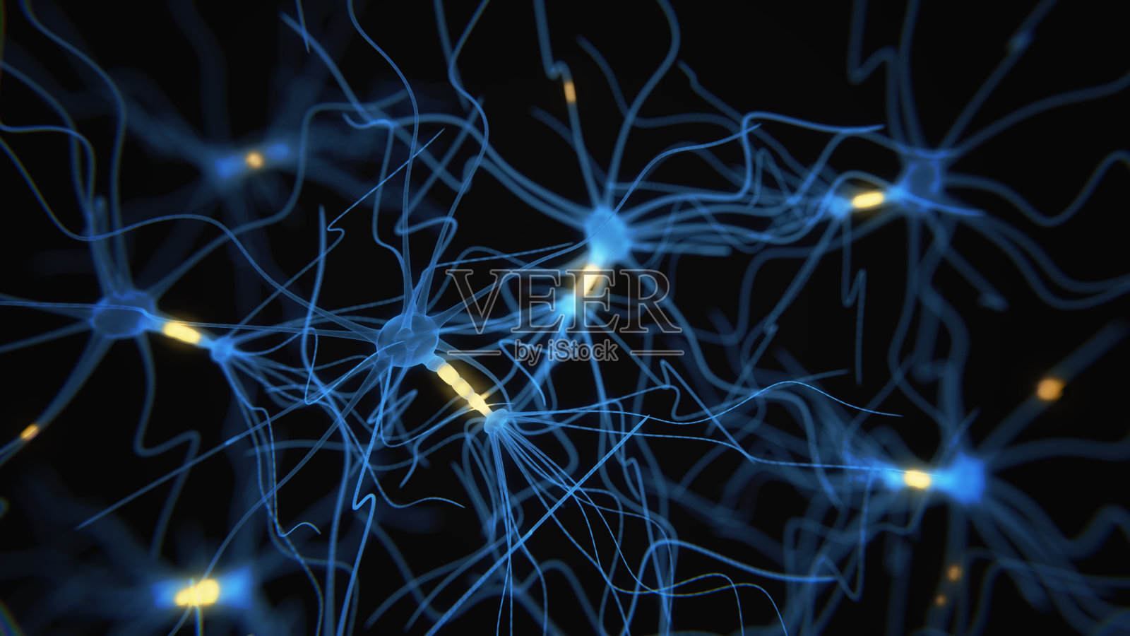 神经元细胞网络在黑色照片摄影图片