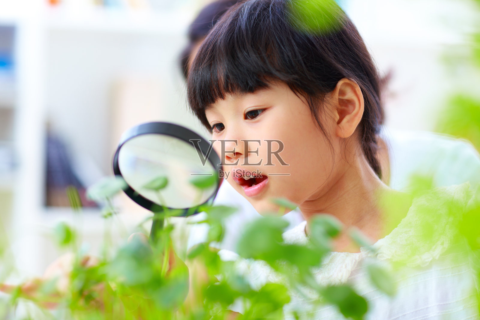 小女孩用放大镜看植物照片摄影图片