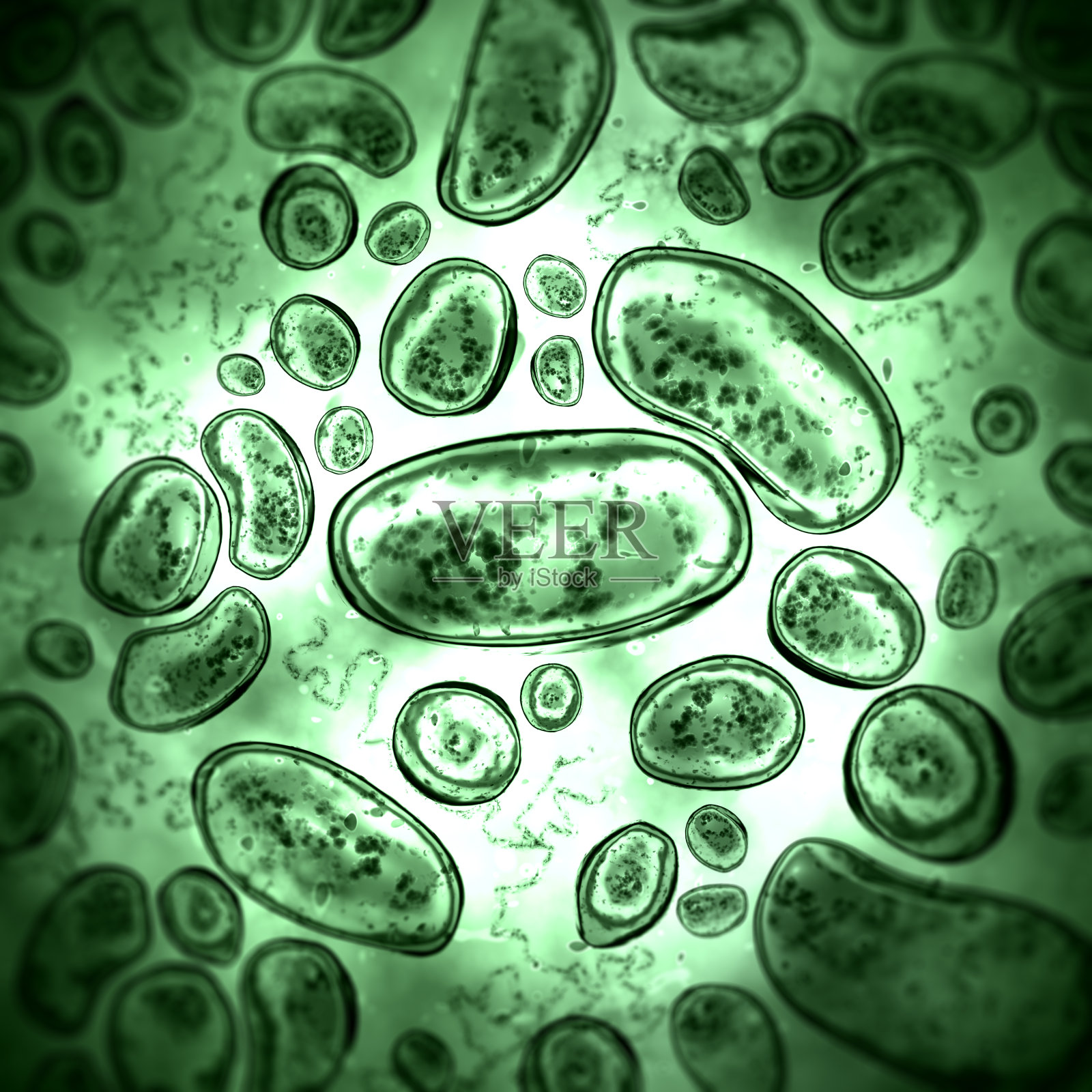 细菌插画图片素材