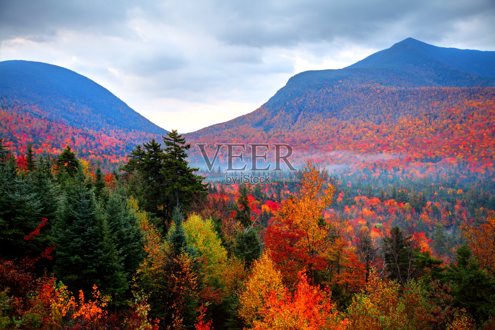 新罕布什尔州白山的秋叶照片摄影图片