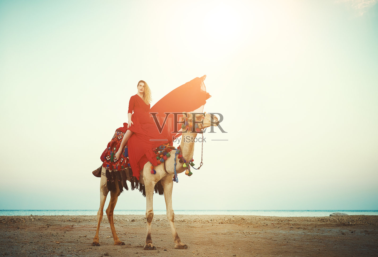 异国情调的骆驼骑照片摄影图片