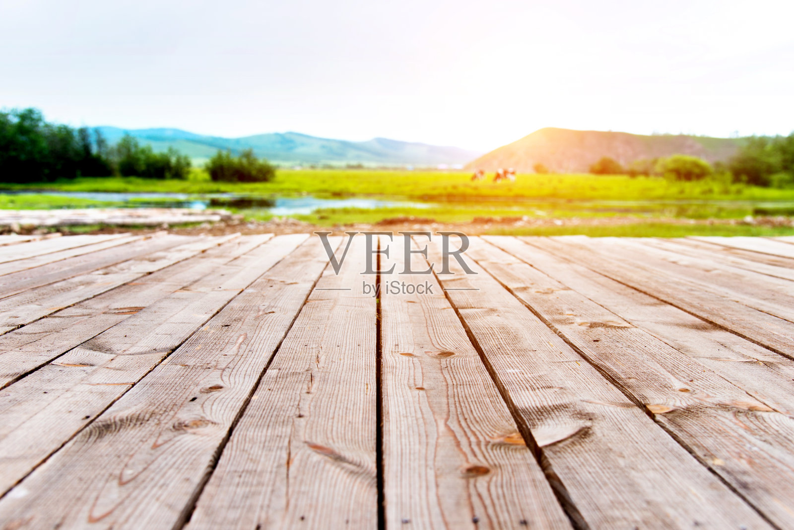 木制甲板与绿色自然的背景照片摄影图片