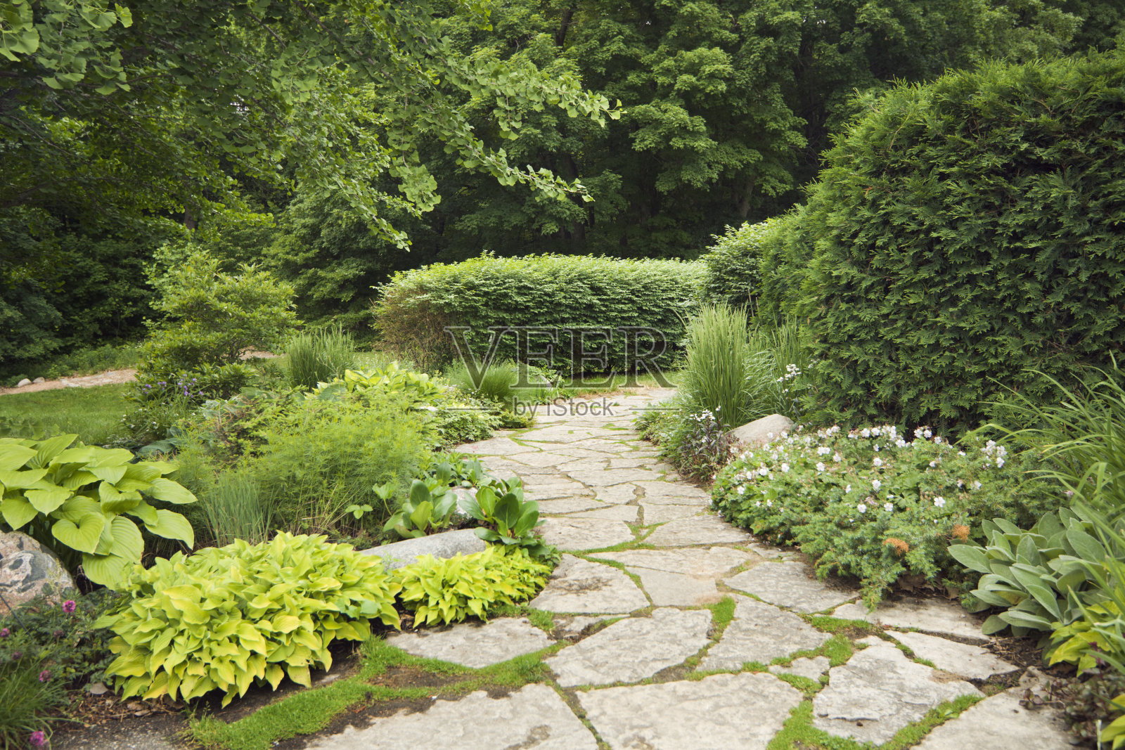 有正式的，观赏花园，花，和石头路径的庭院照片摄影图片