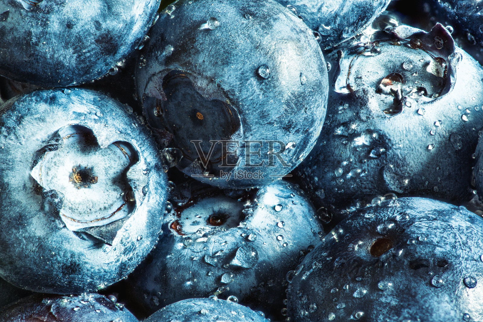新鲜的蓝莓，上面滴满了水。高度详细的宏照片摄影图片