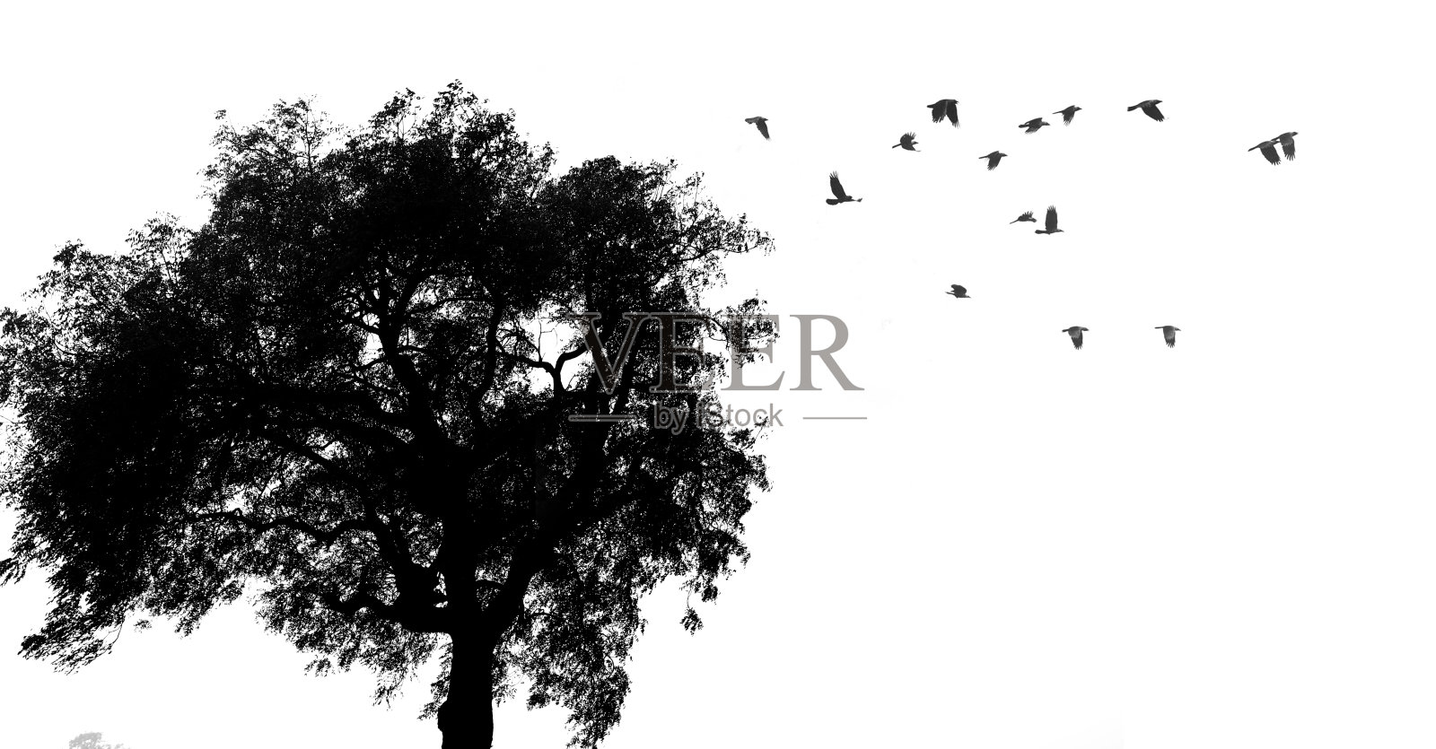 树和鸟的剪影照片摄影图片