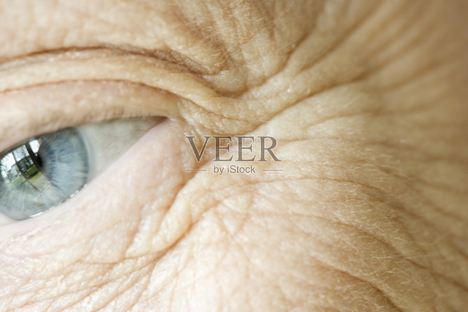 年长妇女的脸部皱纹和眼睛的特写照片摄影图片