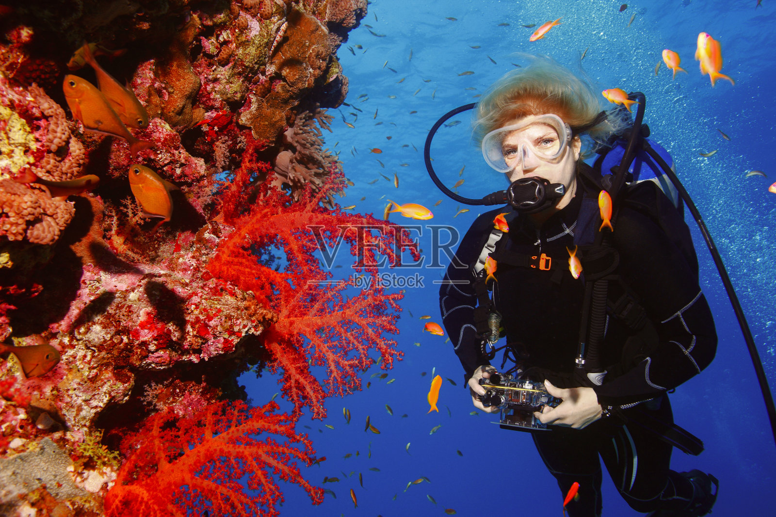 潜水者正在探索和享受珊瑚礁海洋生命运动女性水下摄影师照片摄影图片