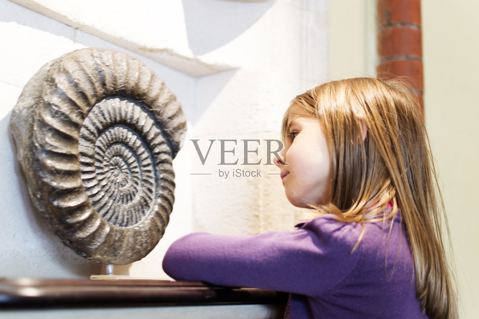 在博物馆里研究化石的女孩照片摄影图片