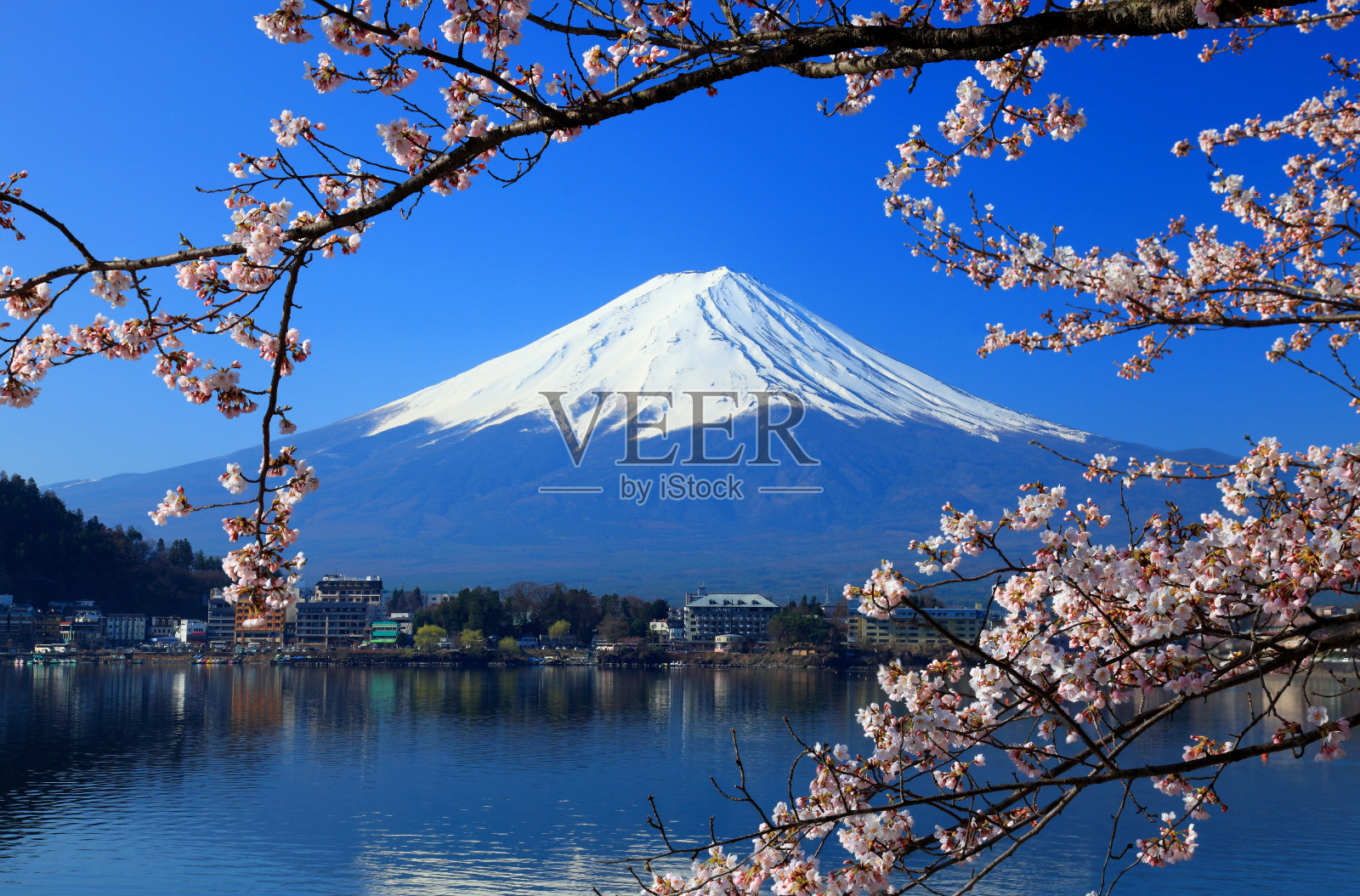 美丽的樱花与富士山，日本照片摄影图片