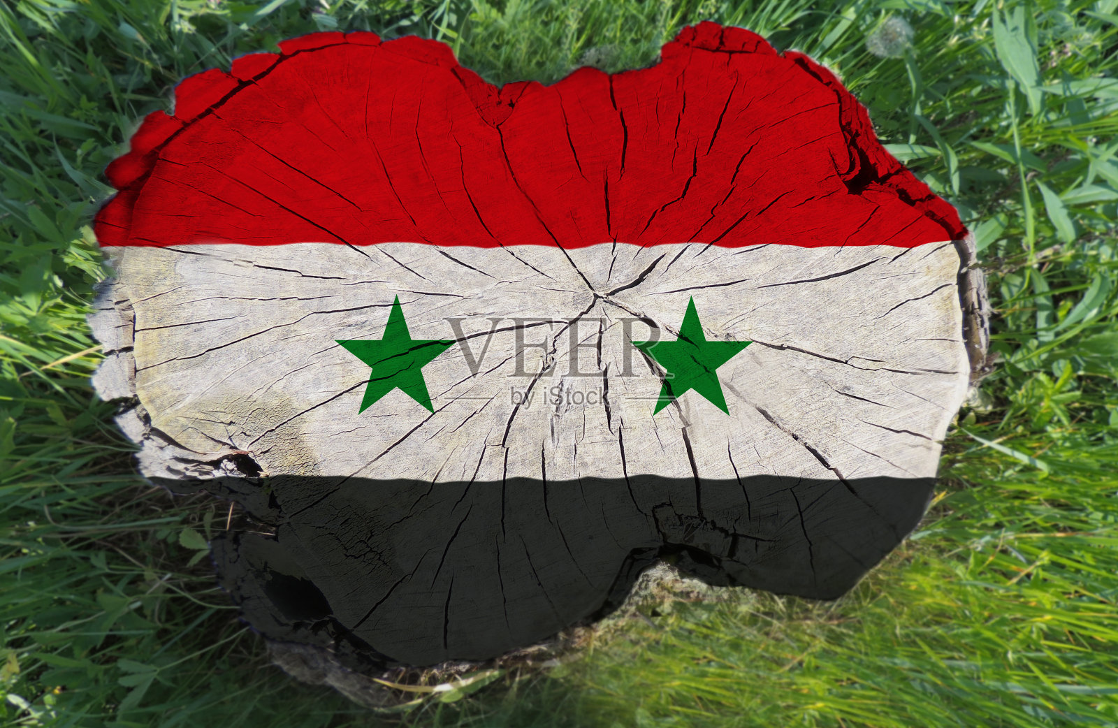 树桩上画着一面叙利亚国旗照片摄影图片