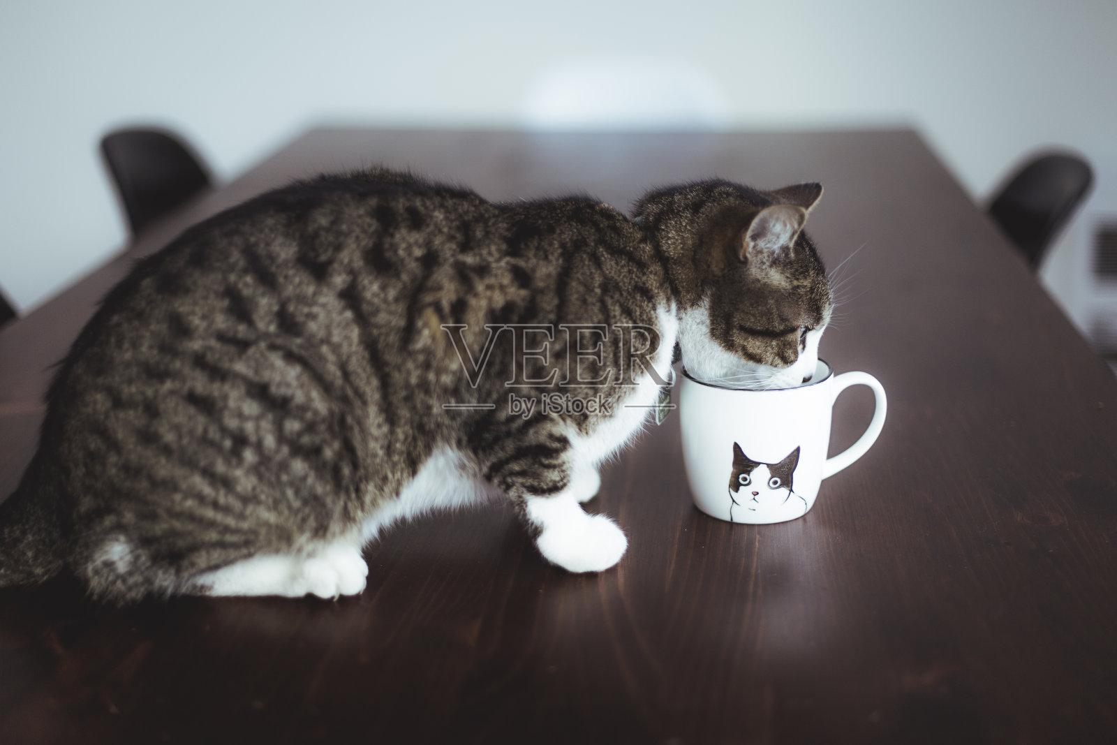 虎斑猫在杯子里喝水照片摄影图片