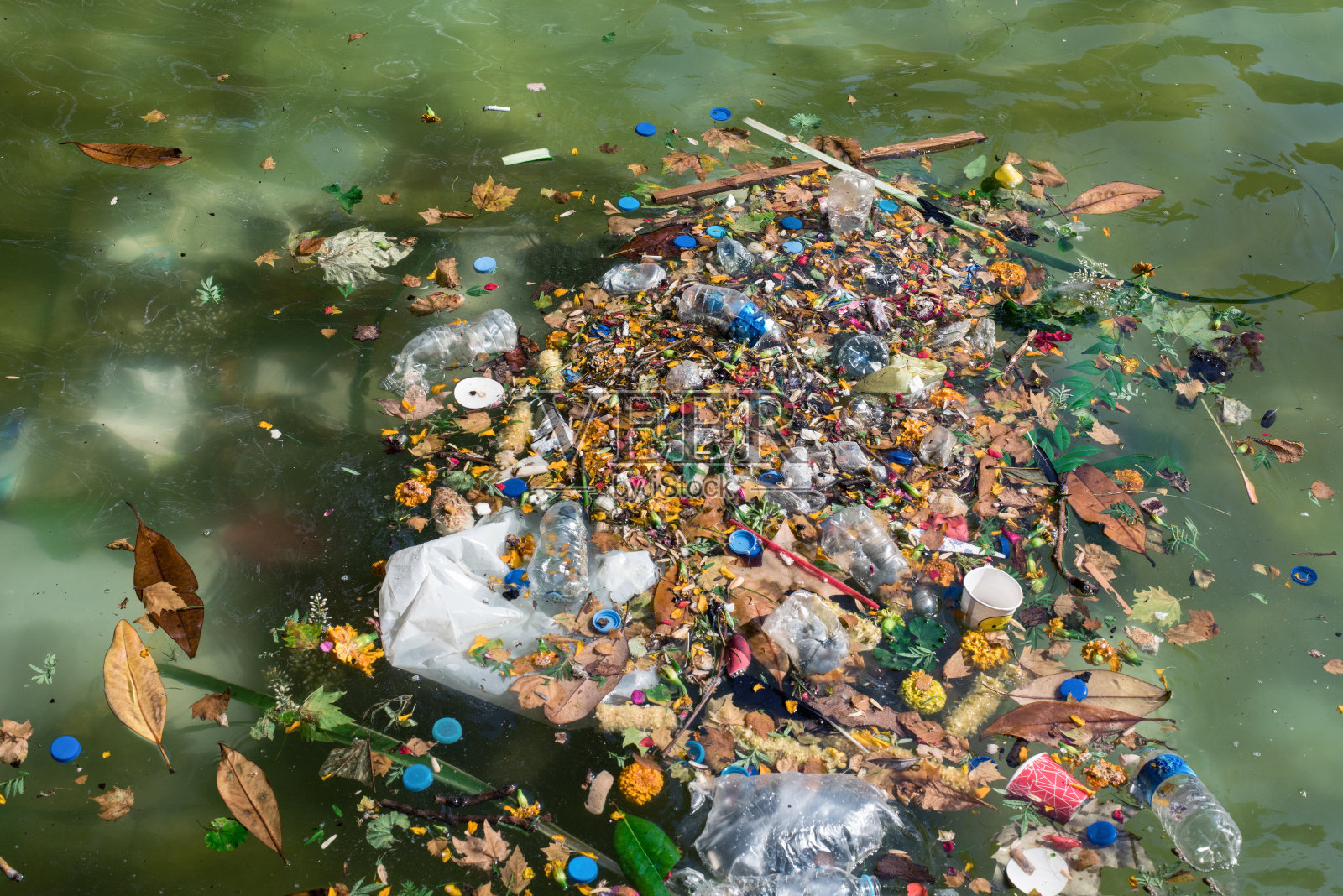 塑料瓶和其他污染物漂浮在水面上，照片摄影图片