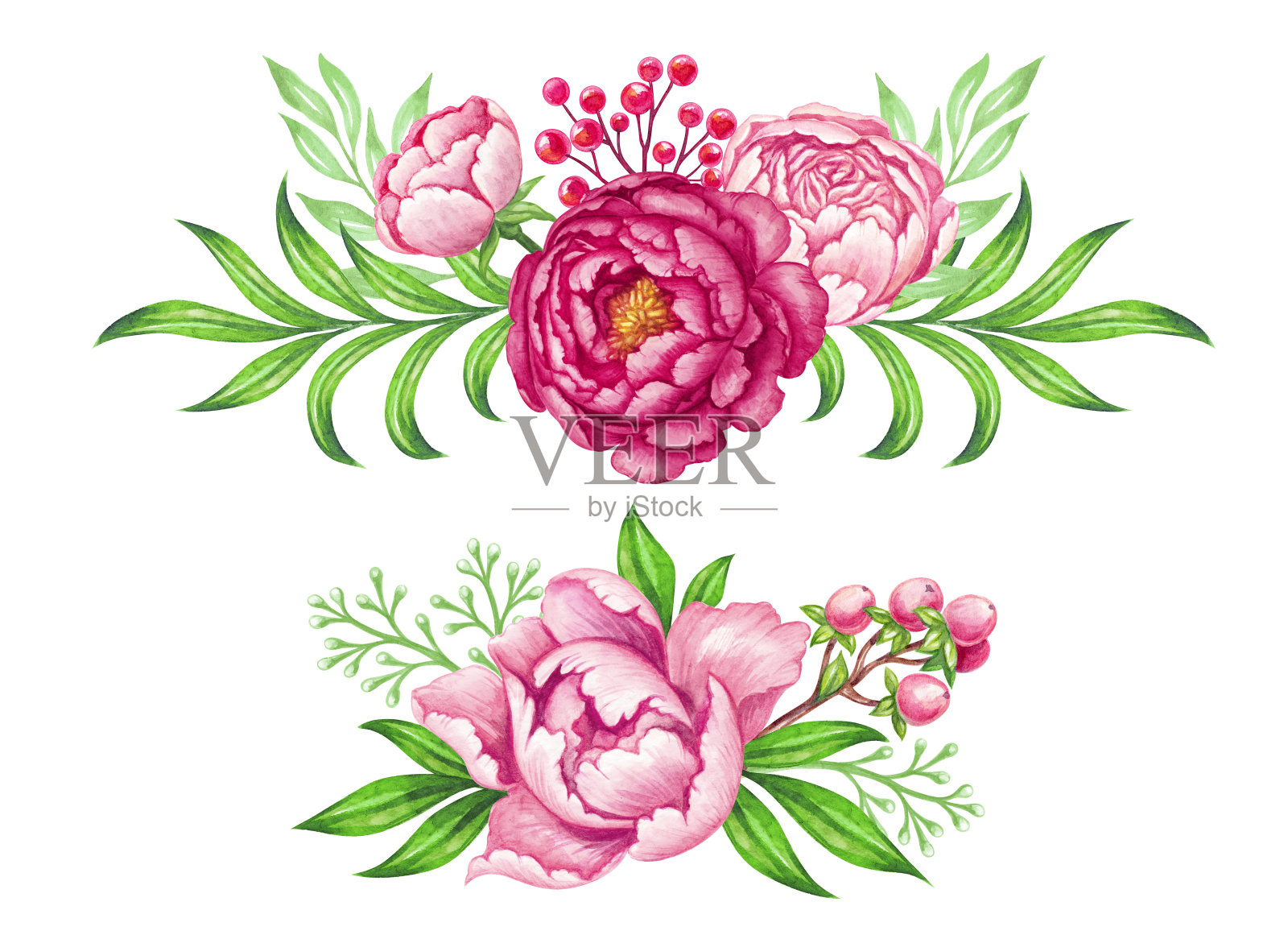 鲜粉牡丹花环，玫瑰绿叶，水彩花束插画，花卉设计元素插画图片素材
