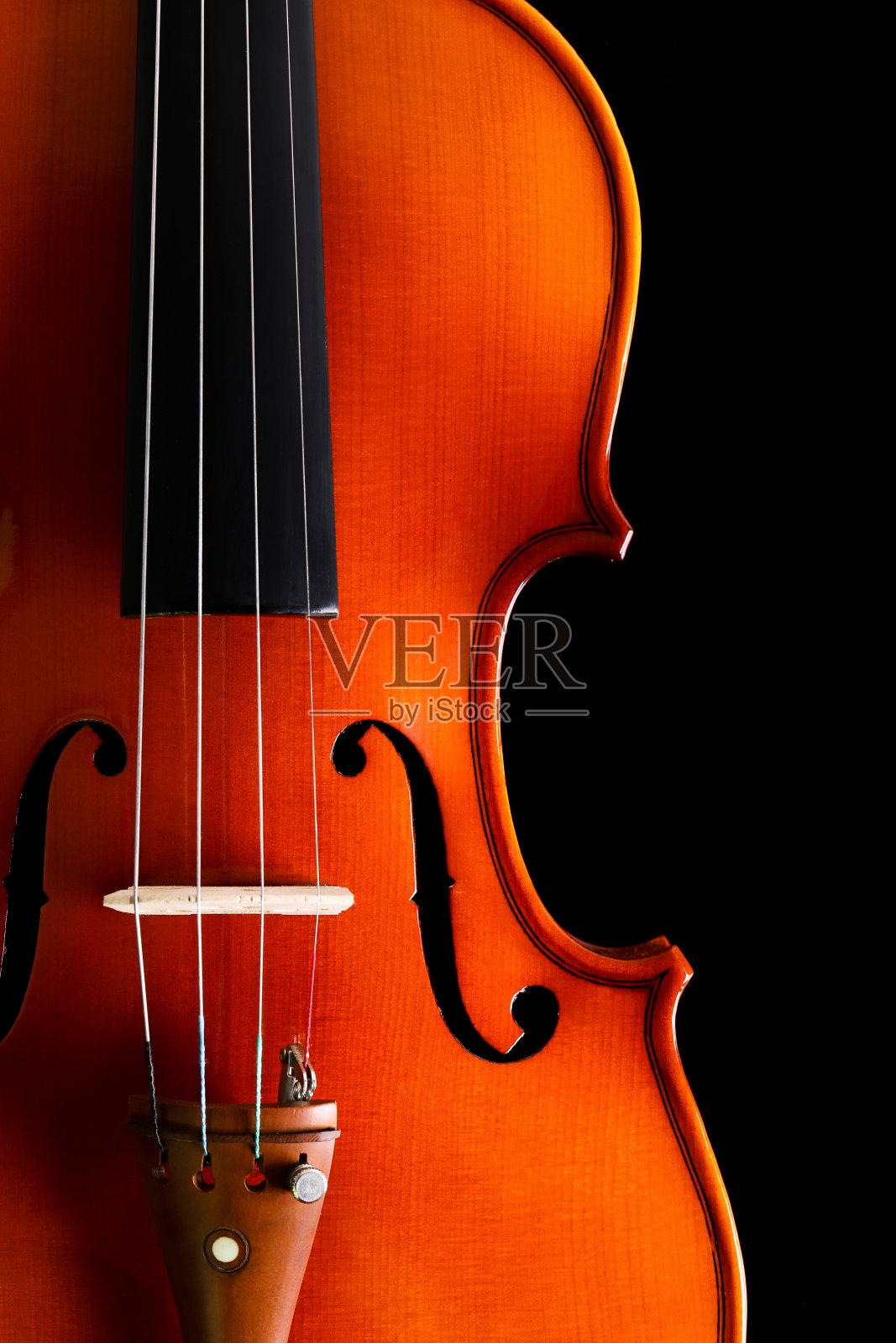 黑色背景下的小提琴照片摄影图片