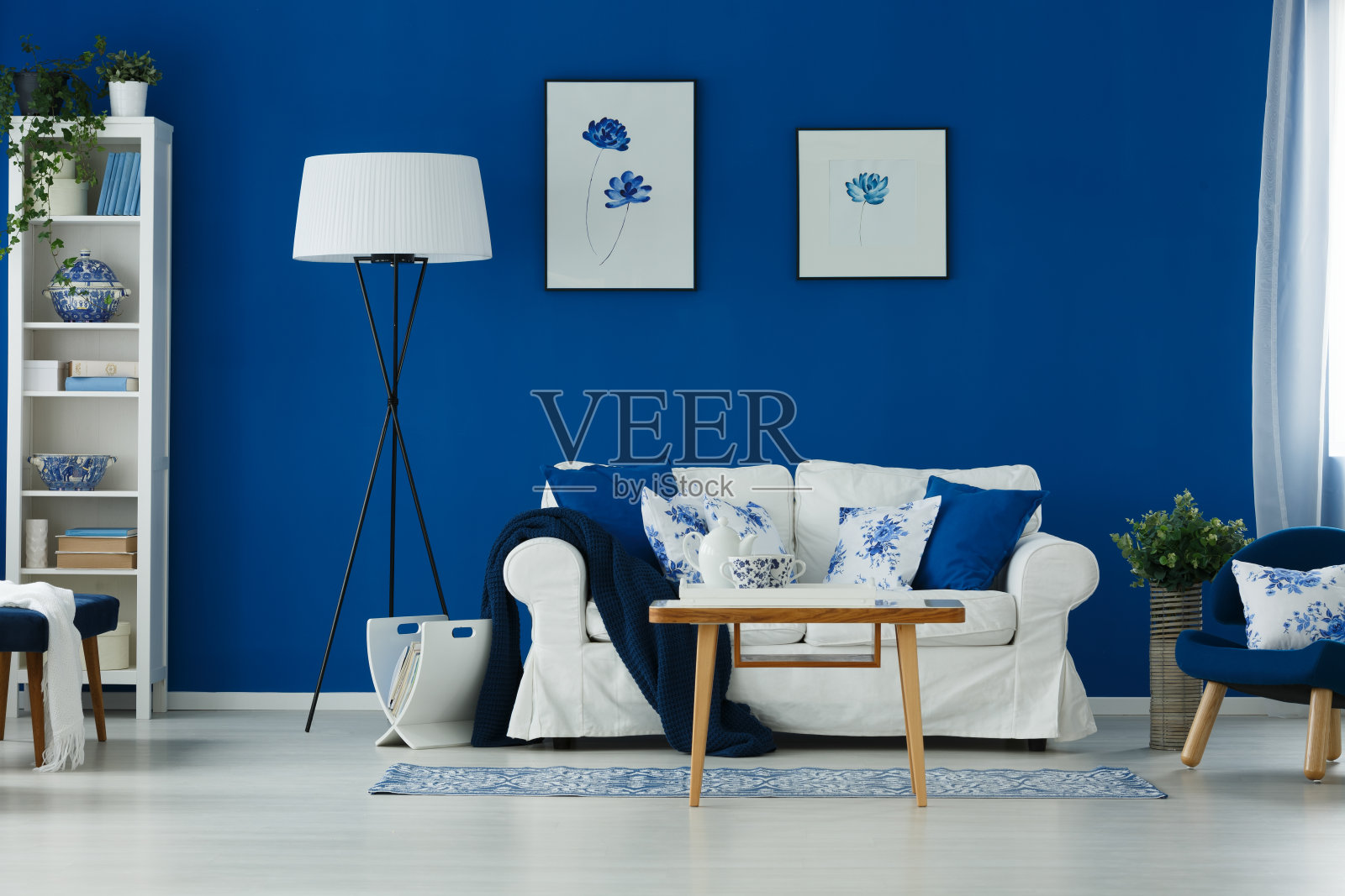 蓝色和白色的客厅照片摄影图片