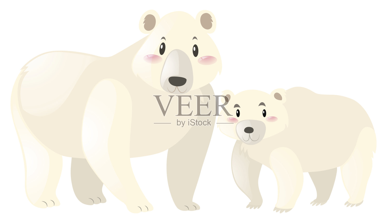 两只北极熊在白色的背景上插画图片素材