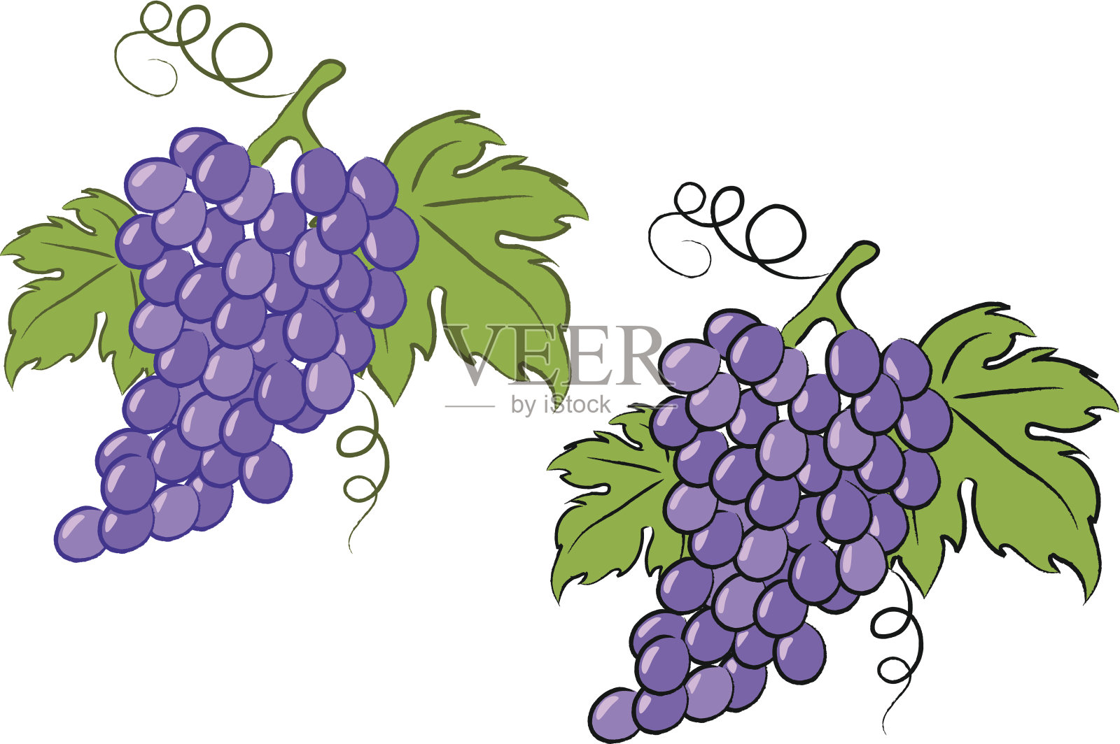 葡萄设计元素图片