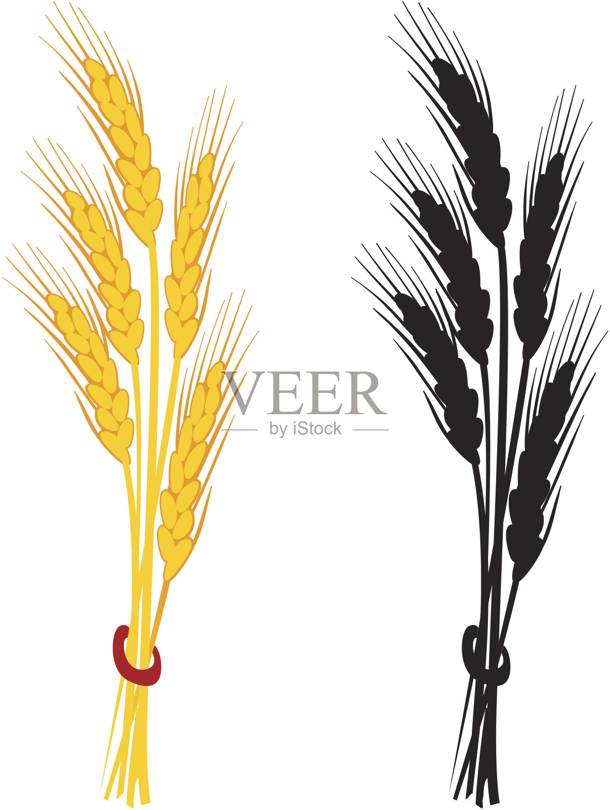 小麦穗矢量插图。插画图片素材