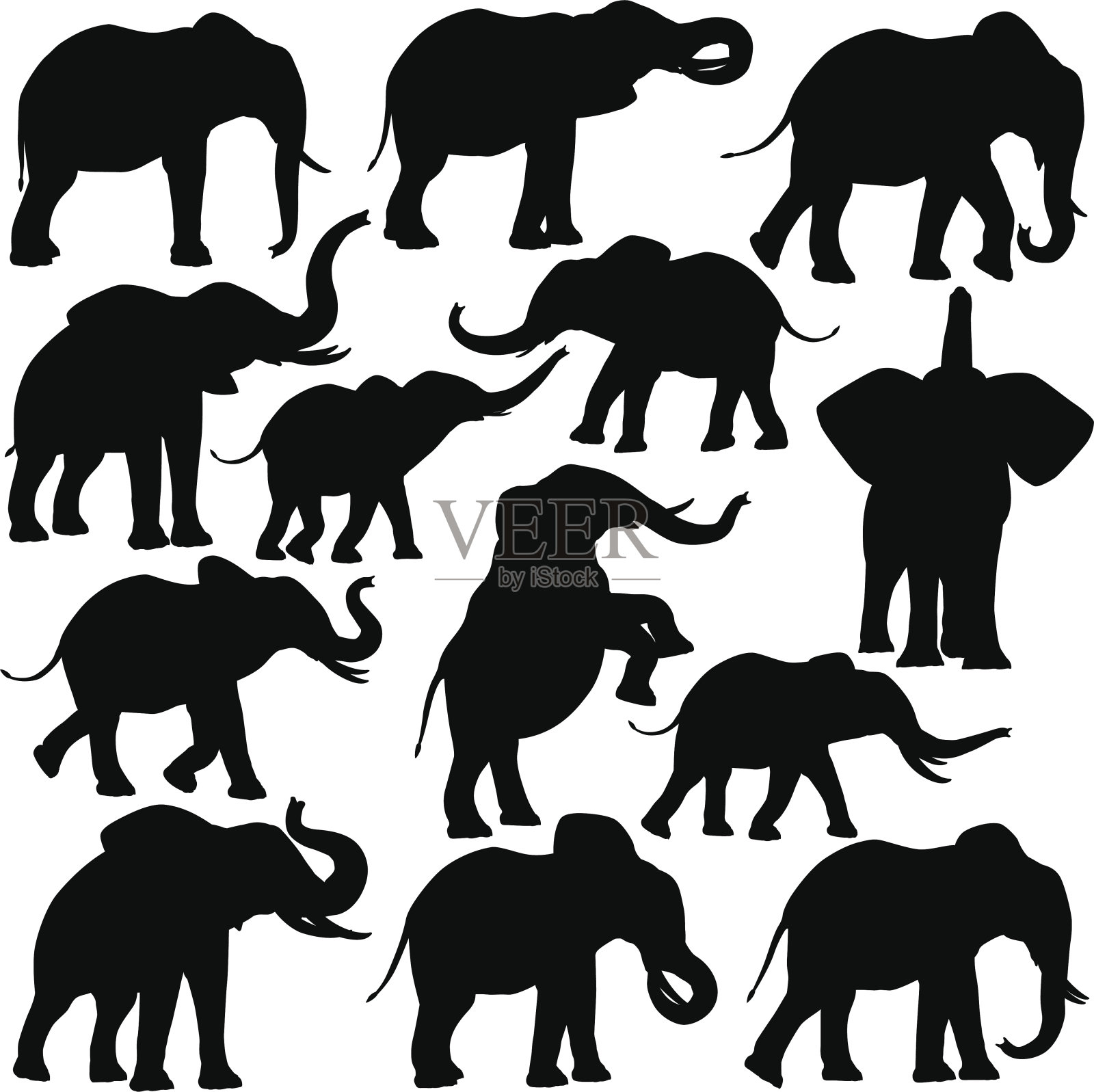 非洲象插画图片素材