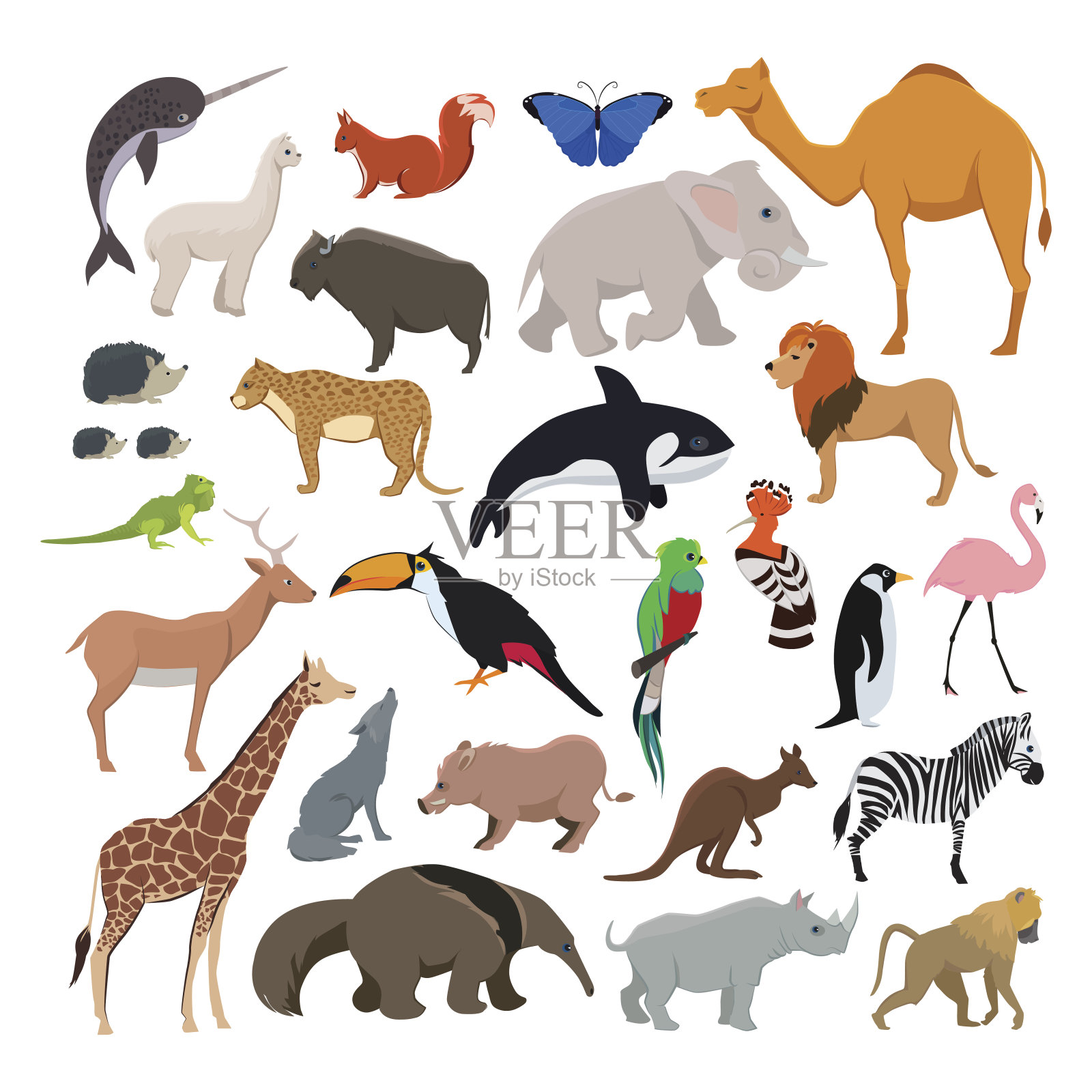 大向量与野生可爱的动物隔离在白色的背景插画图片素材