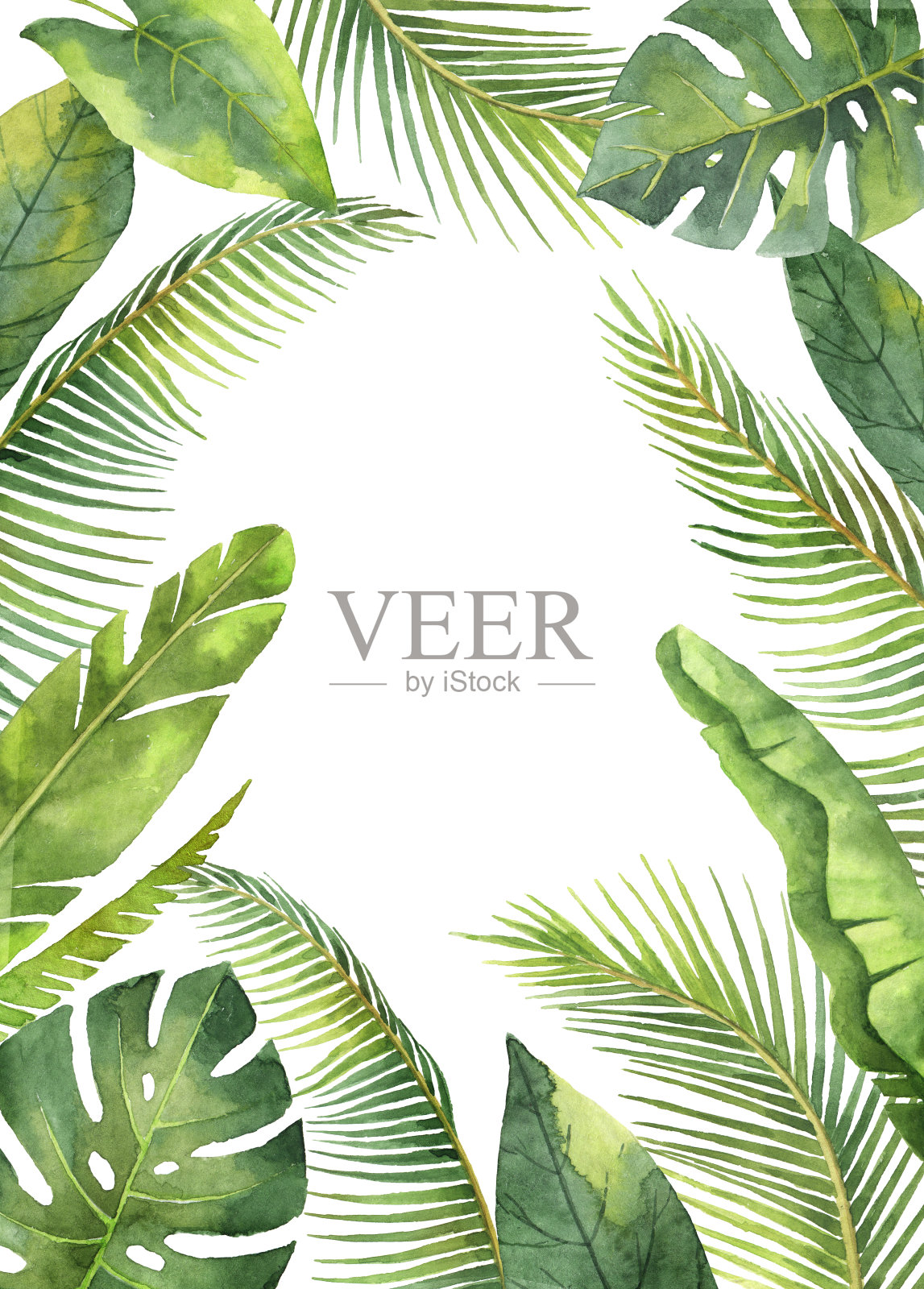 水彩矩形框架热带树叶和树枝孤立在白色的背景。插画图片素材