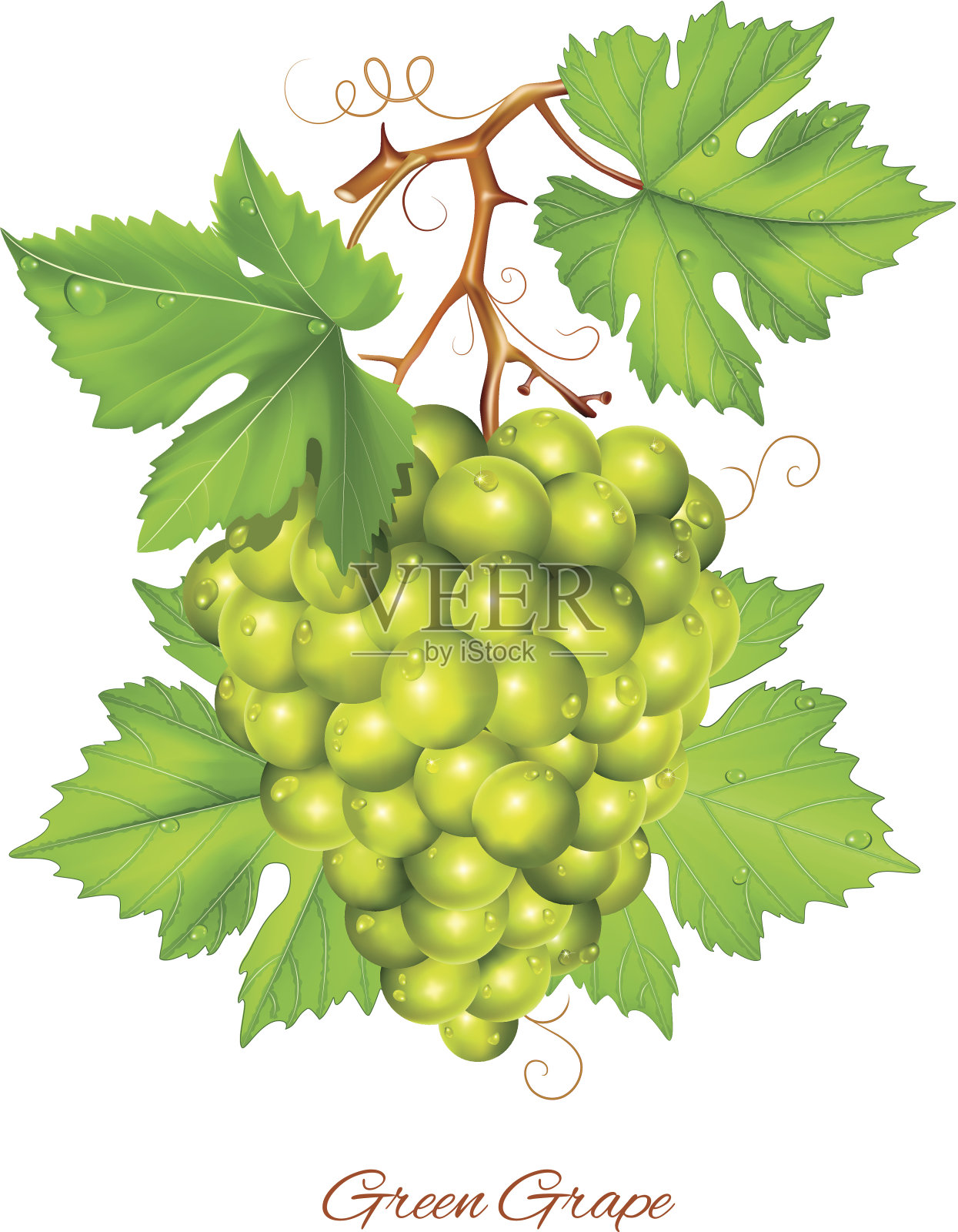 绿色的葡萄长着绿色的叶子。设计元素图片