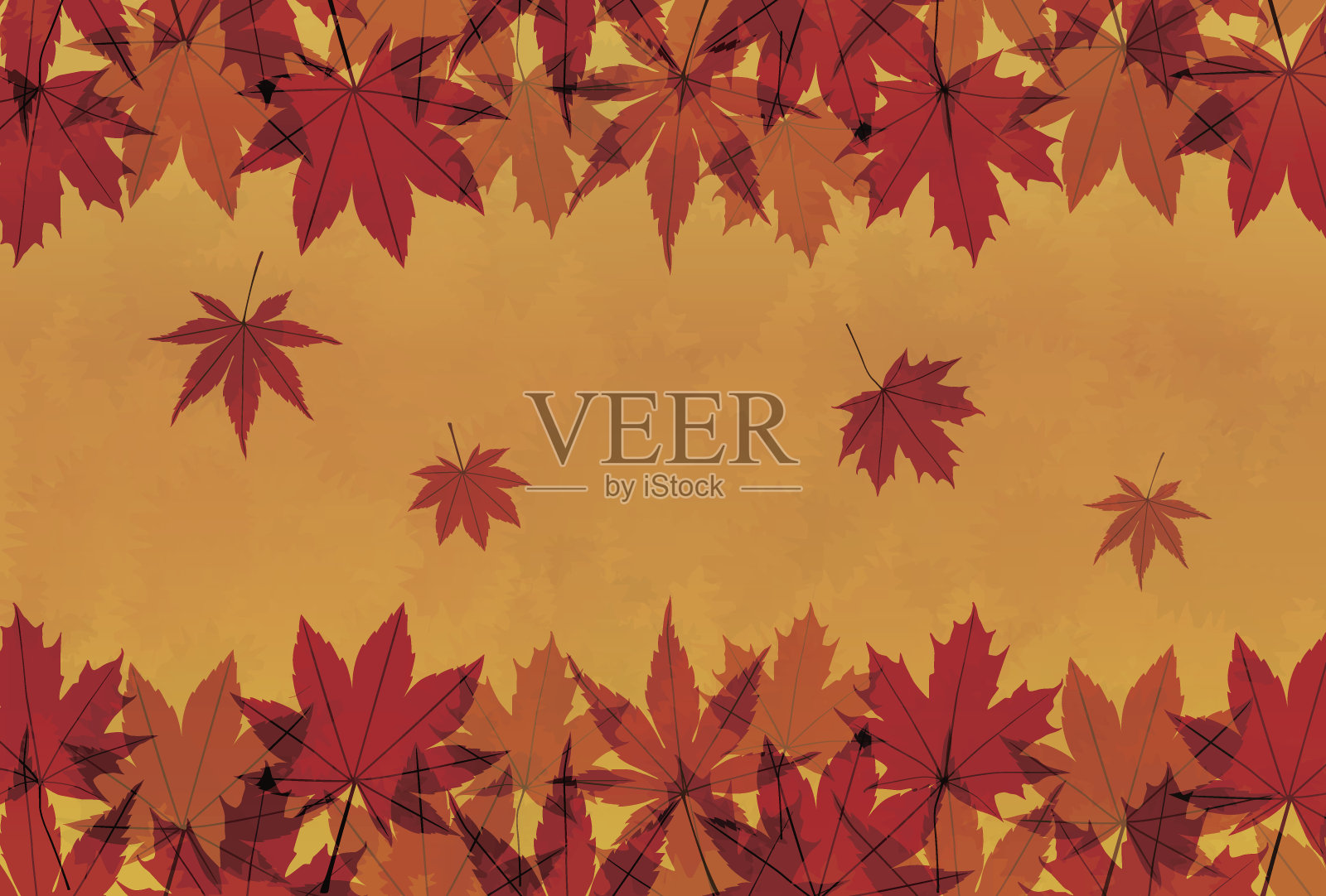 秋天的枫叶背景插图插画图片素材