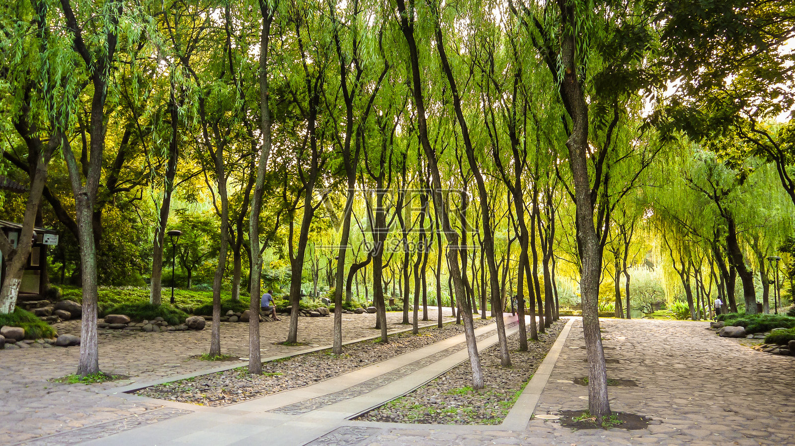 杭州六郎文英公园入口的树间小路照片摄影图片