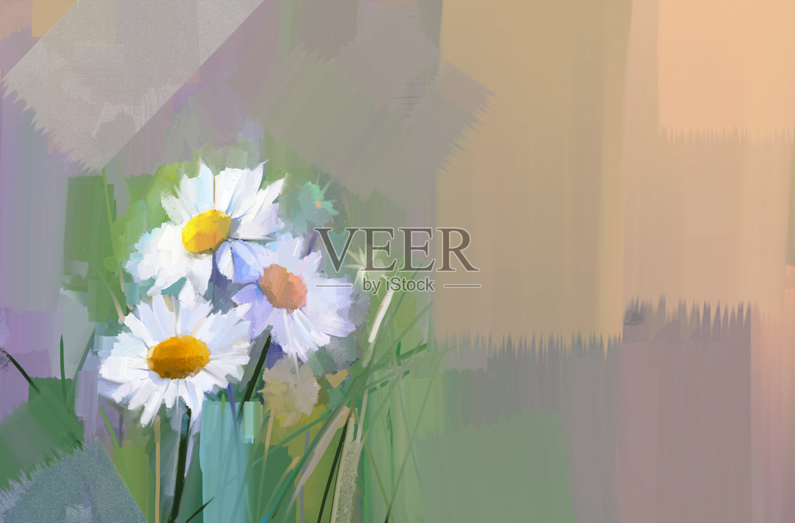 非洲菊花油画。以柔和的颜色作背景的花插画图片素材