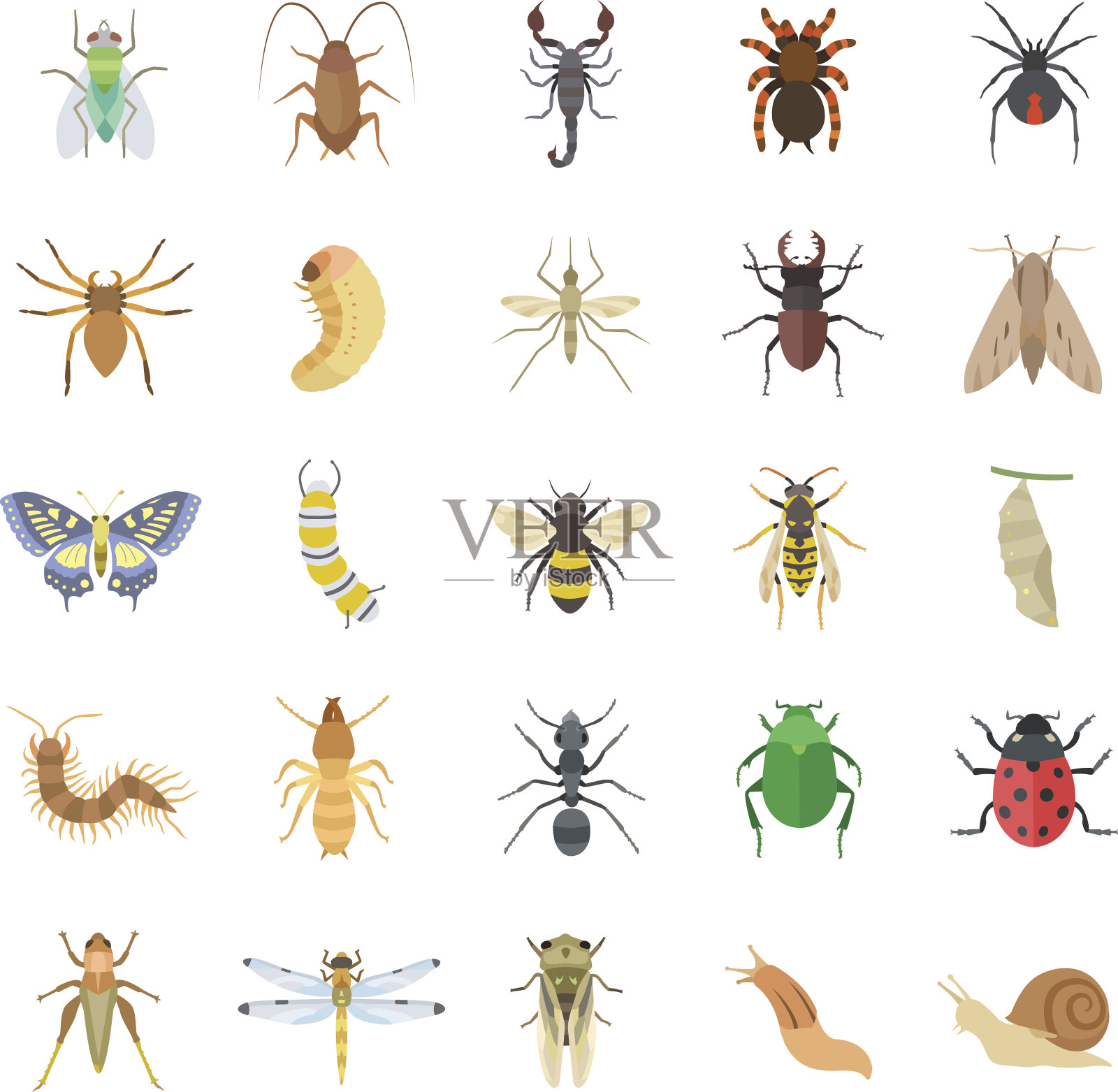 昆虫颜色矢量图标图标素材