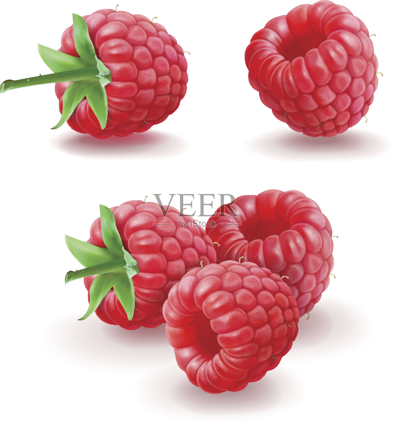 树莓向量图标设置。现实的孤立的插图设计元素图片