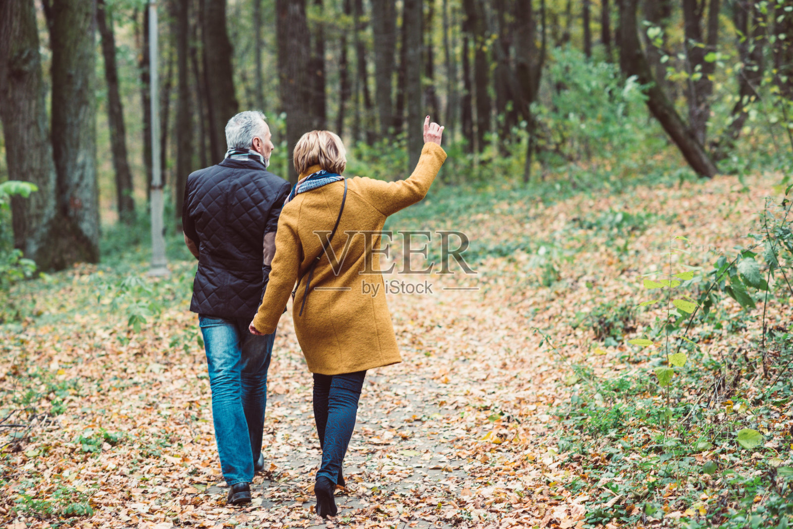 一对成熟的夫妇漫步在秋天的公园里照片摄影图片