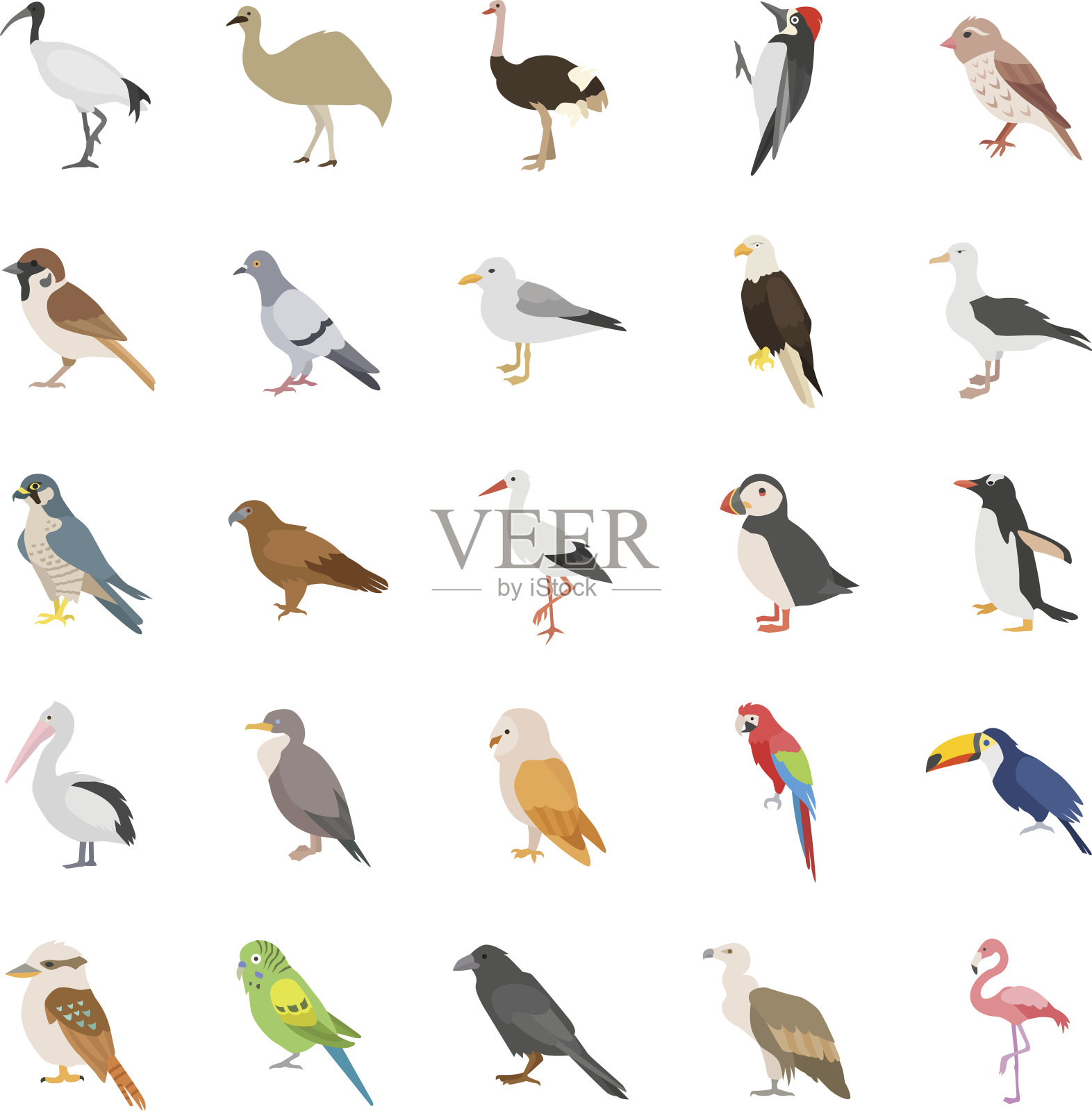 鸟类颜色矢量图标设计元素图片