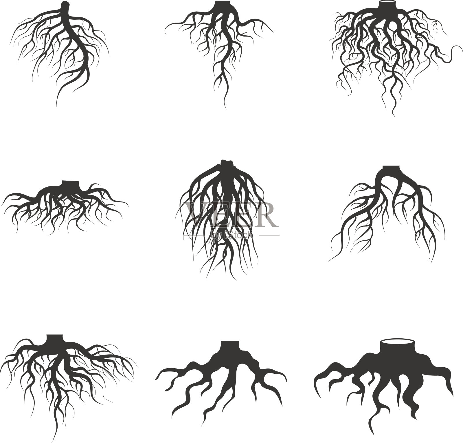 树和植物地下根向量集插画图片素材