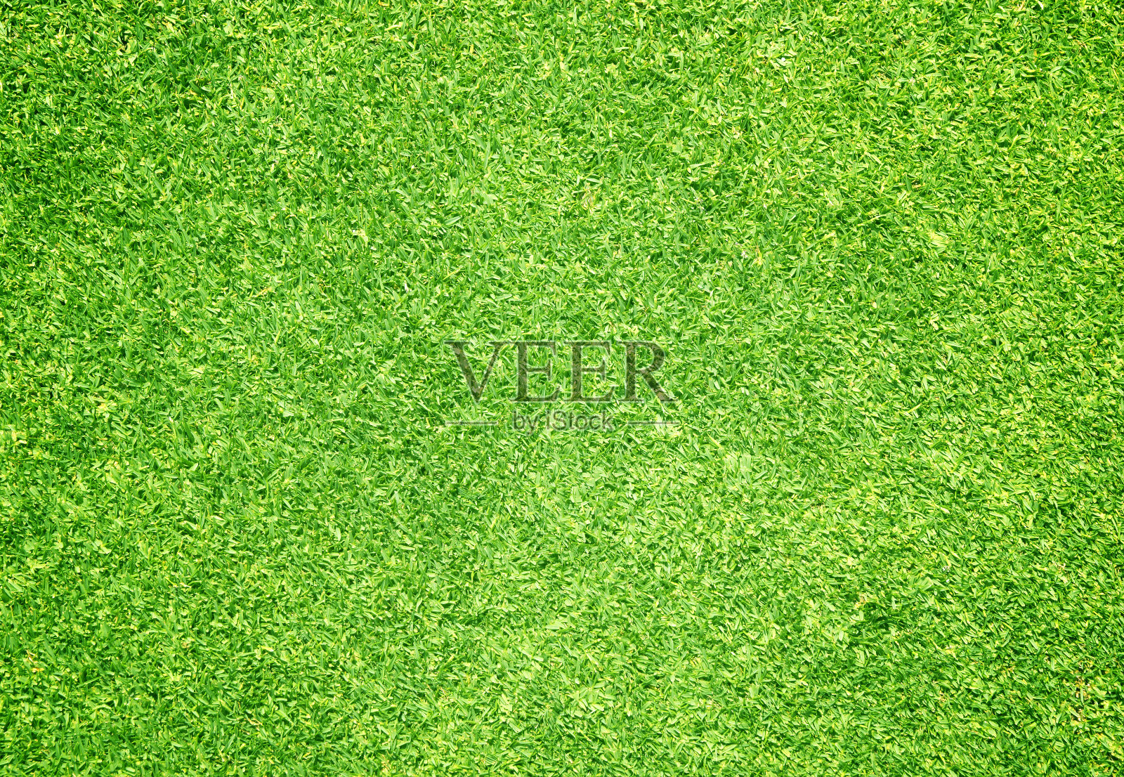 草地背景高尔夫球场绿色草坪设计元素图片