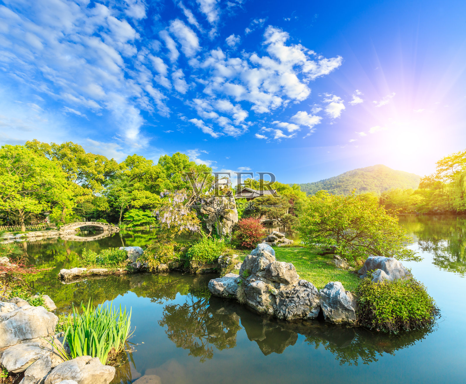 美丽的杭州西湖花园，中国的夏天照片摄影图片